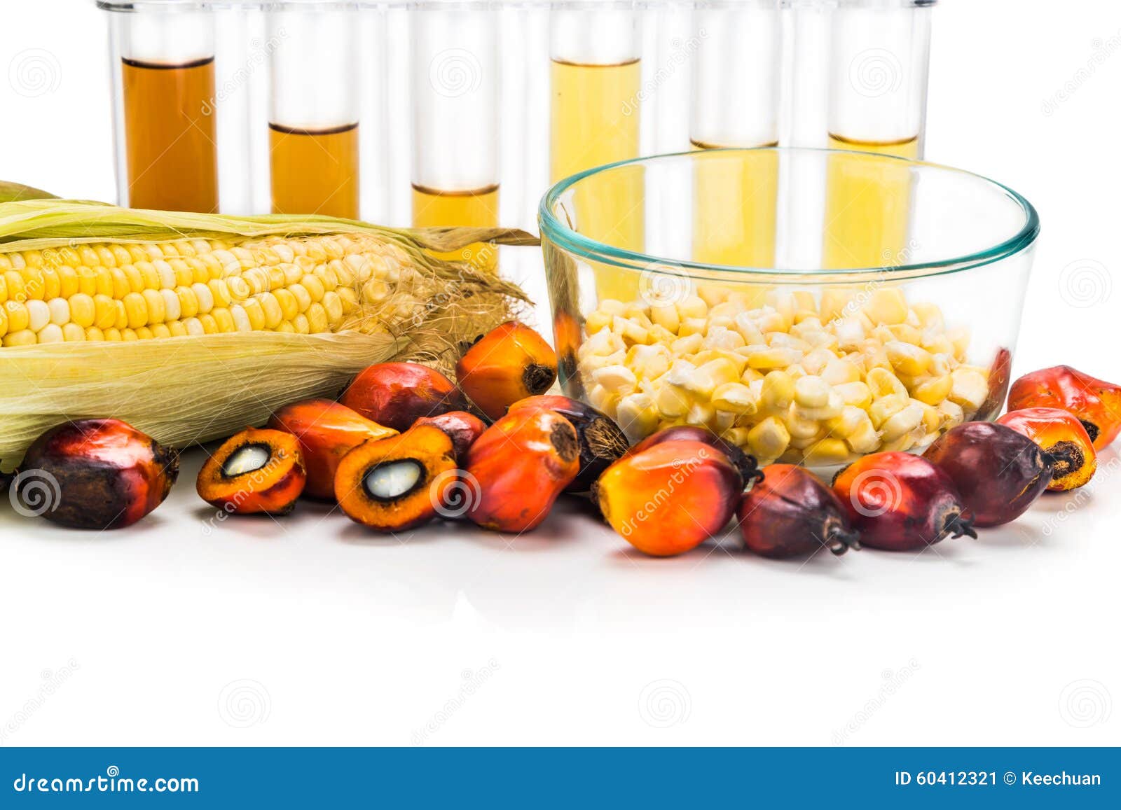 Maze Corn and Oil Palm Derived Biofuel in Test Tubes. Stock Image