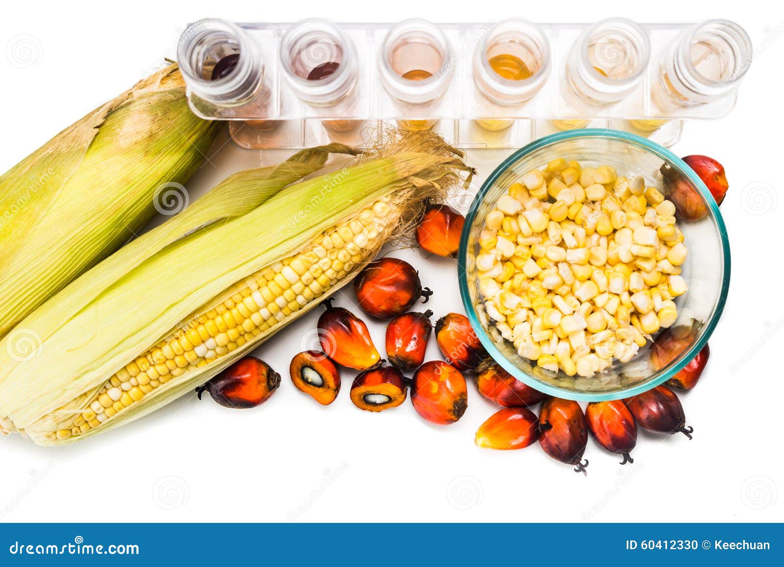 Maze Corn and Oil Palm Derived Biofuel in Test Tubes. Stock Photo