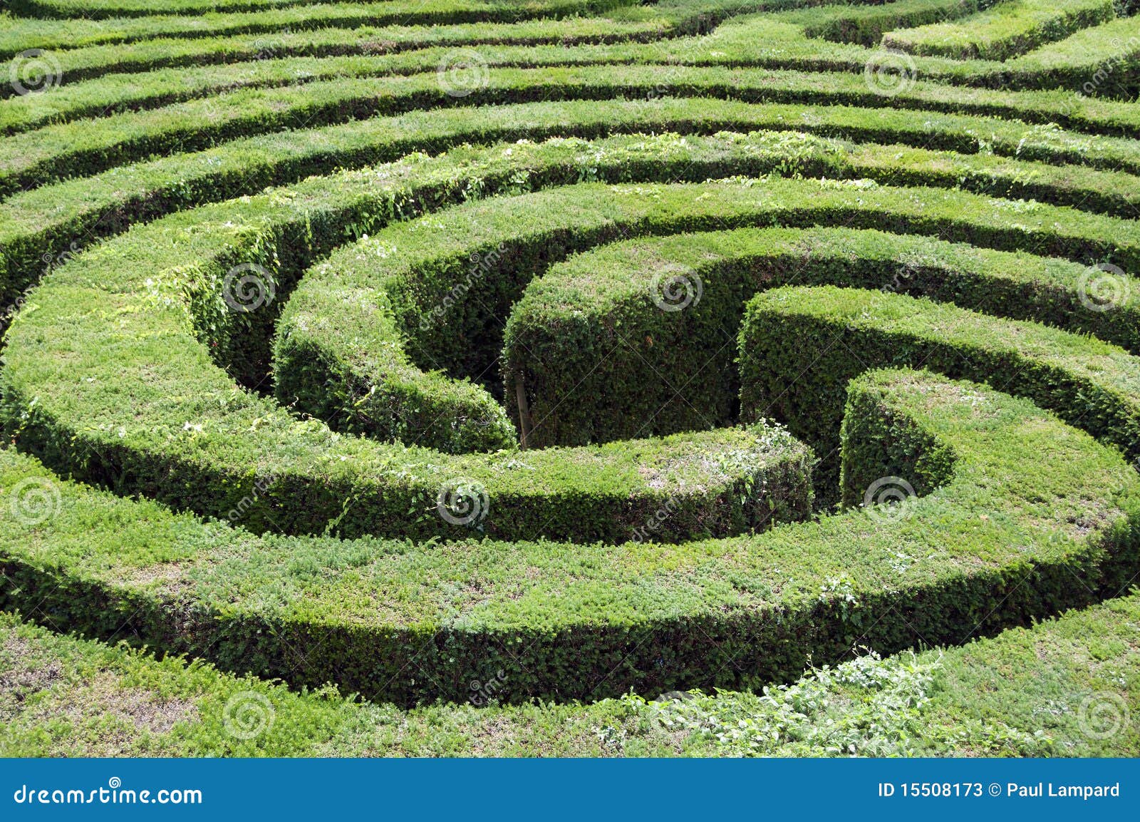 Maze made from a hedge stock image. Image of color, labyrinth 15508173
