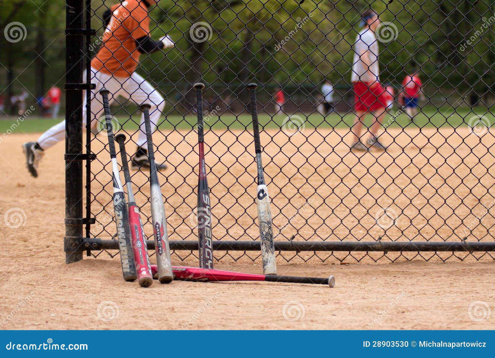 Mazze Acero Frassino Betulla Mazze Da Baseball Fungo Old Hickory - Foto 10