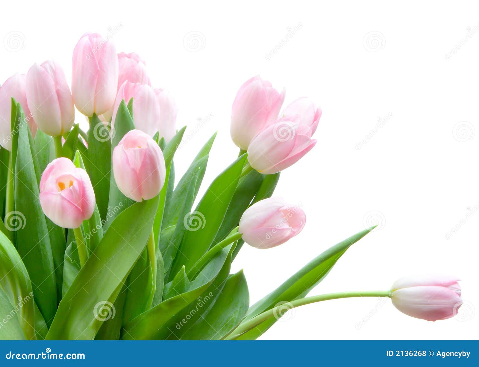 Mazzo dei tulipani fotografia stock. Immagine di nave - 2136268