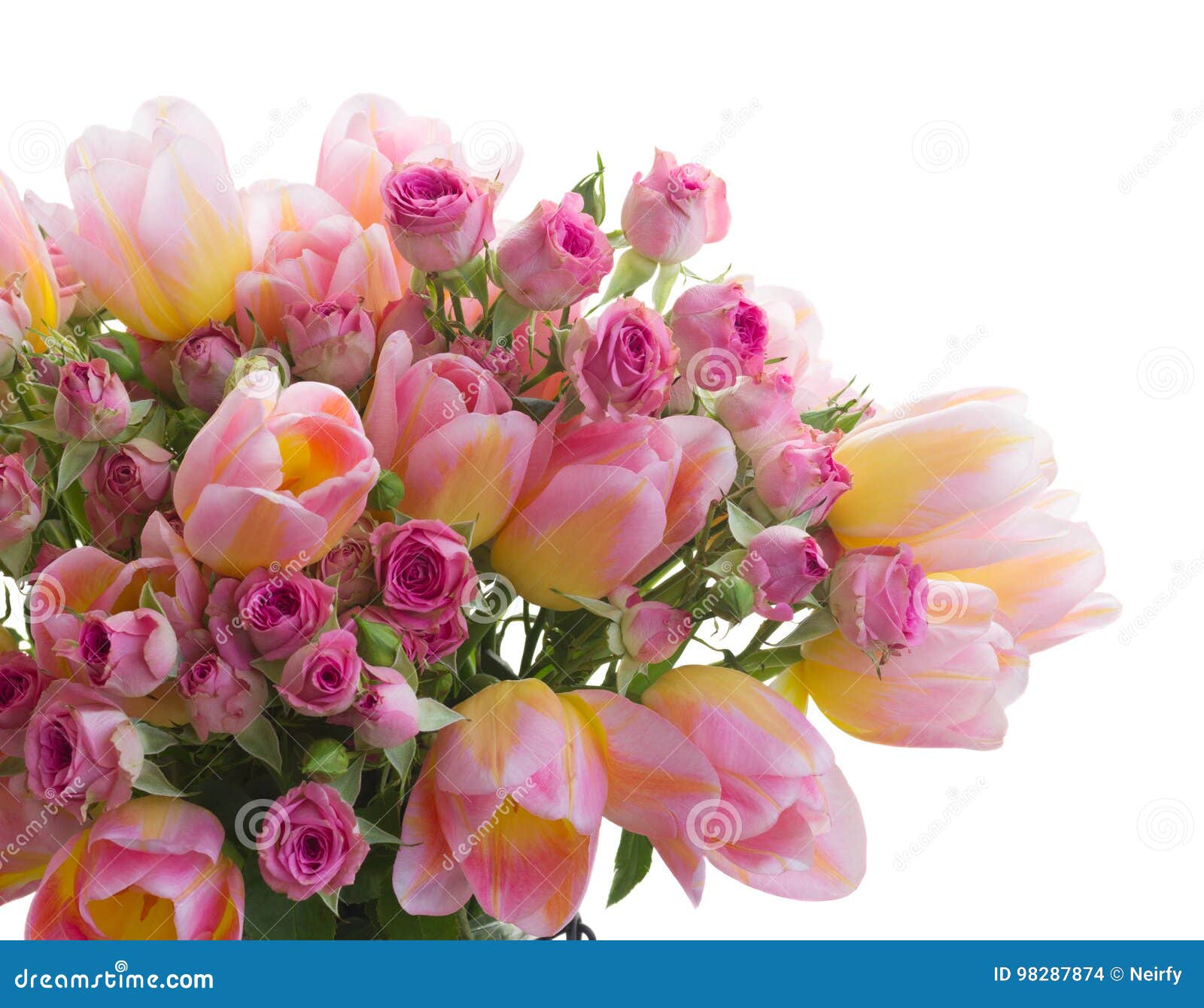 ROSE & TULIPANI - Pichet 0,6 L Concert Vert Eau