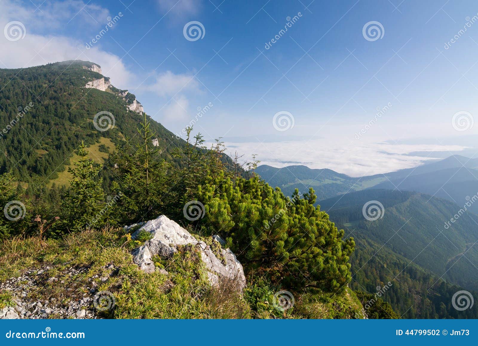 Mañana en el canto de la montaña del verano - Eslovaquia. Mañana en el canto de la montaña del verano - Choc grande - Eslovaquia