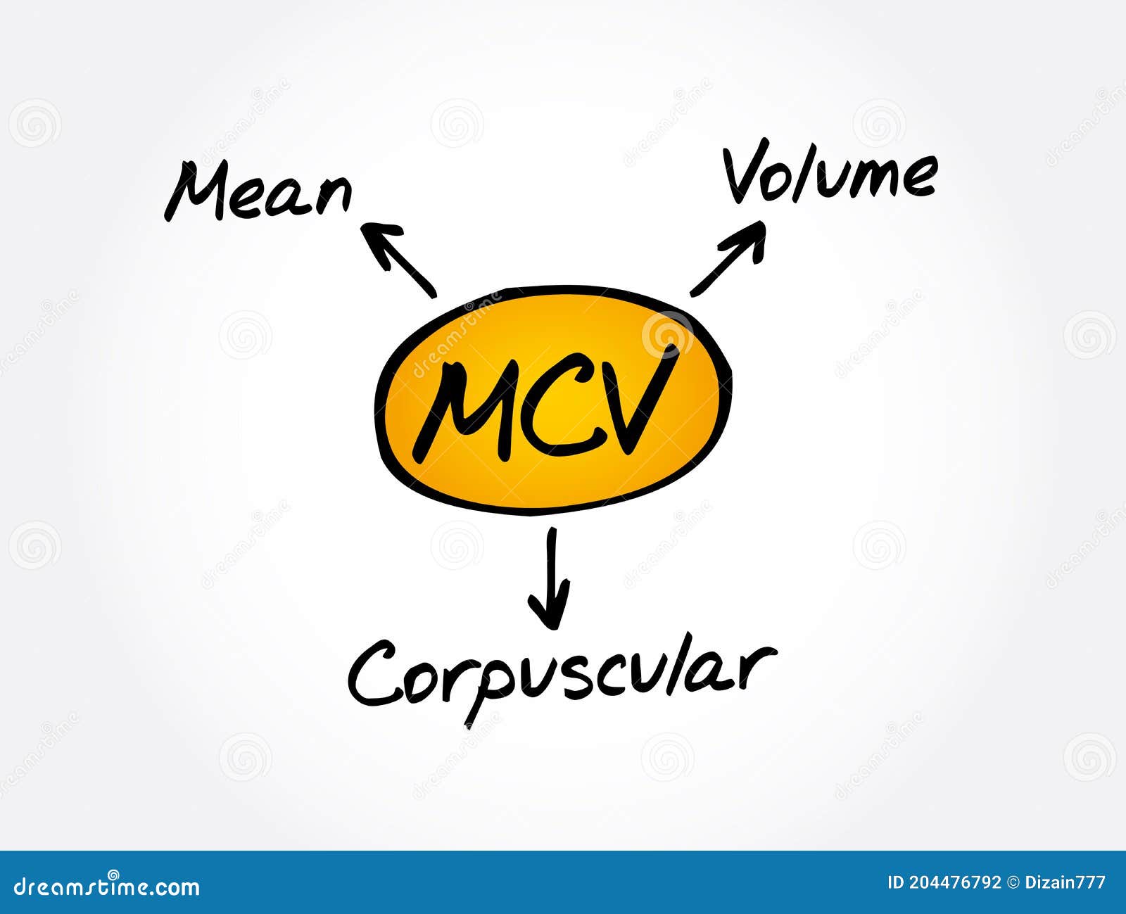 Meaning mcv High MCV