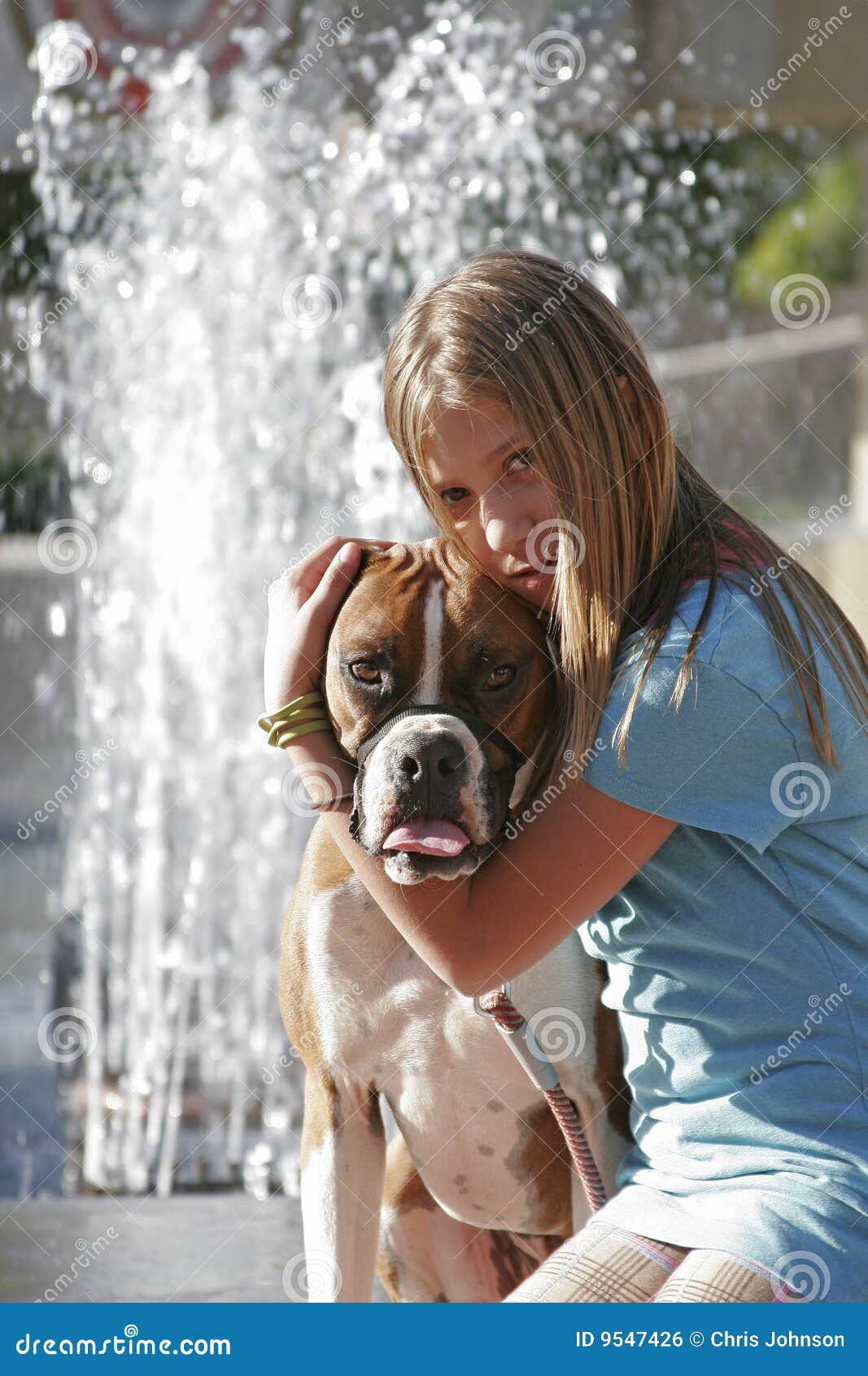 are boxers good with toddlers