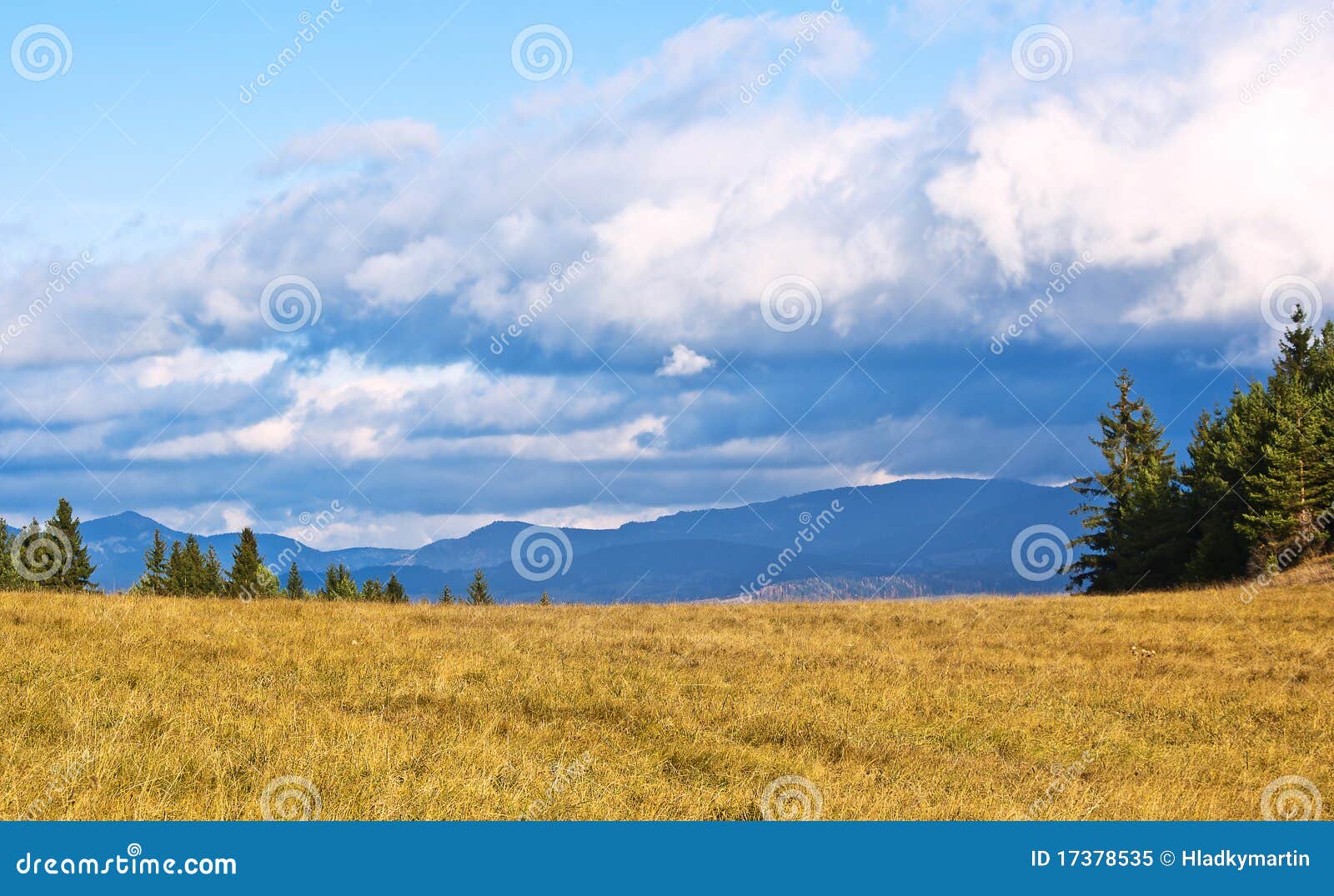 Meadow stock image. Image of outdoors, plant, landscape - 17378535