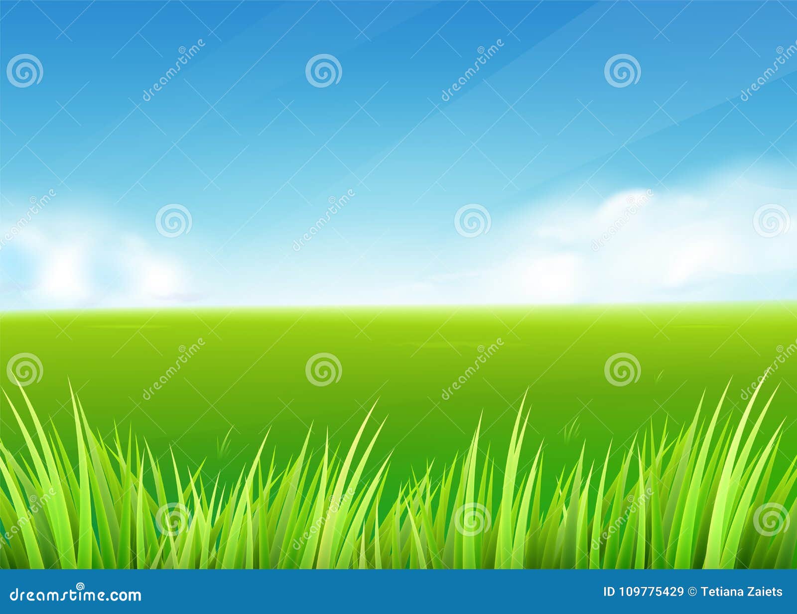 meadow field. summer or spring nature background with green grass landscape