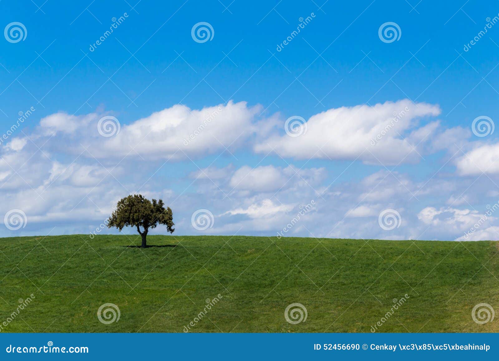 meadow, grass land with tree, blue sky, screen saver computer