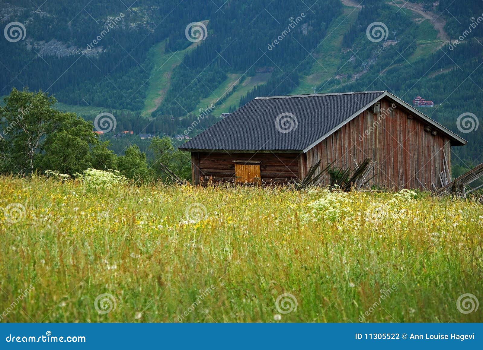 Meadow with old barn stock photo. Image of flower, outhouse 11305522