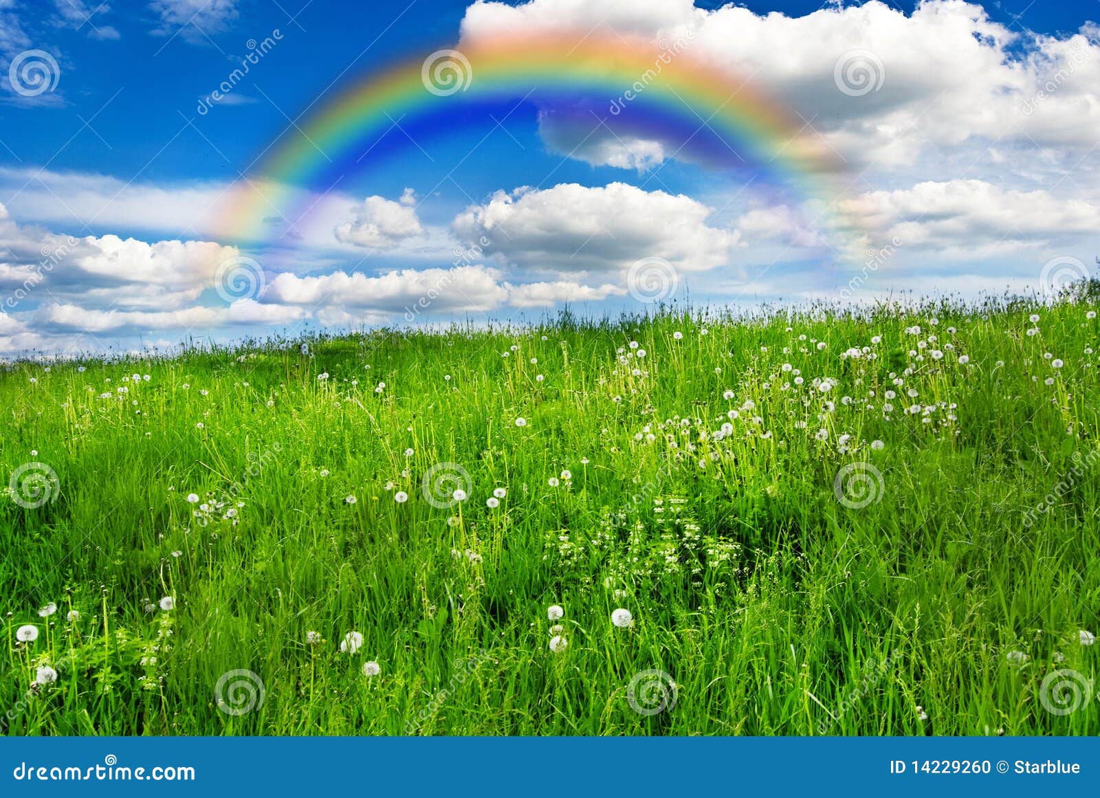 meadow with rainbow