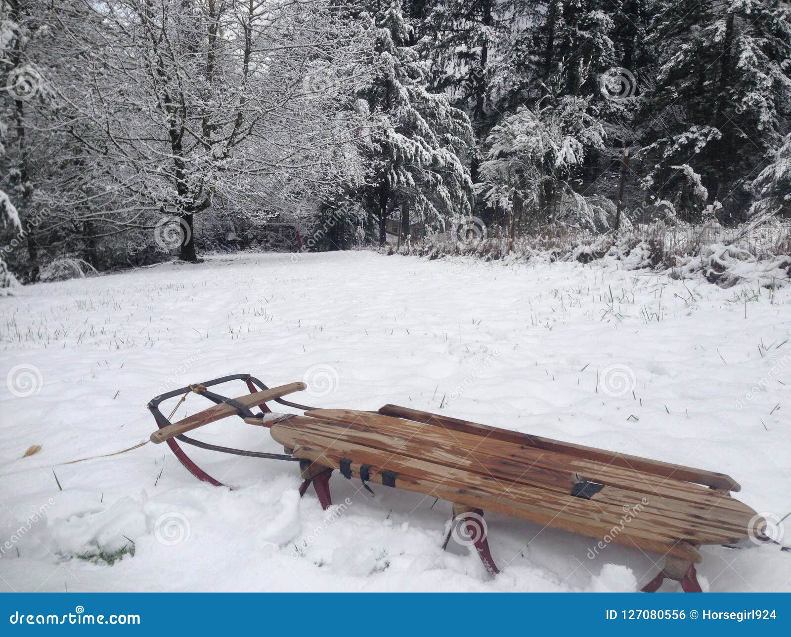 A Meadow of Snow with Traditional Toboggan Sled Stock Photo Image of