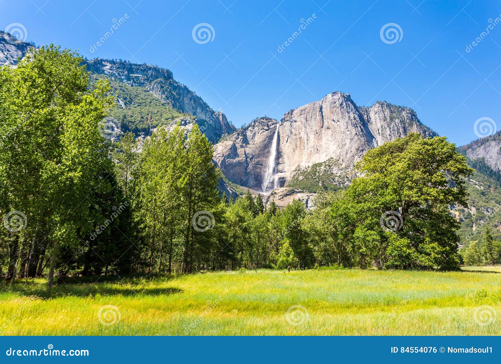 Meadow And Trees Surrounded By Rocky Mountains Stock Photo ...