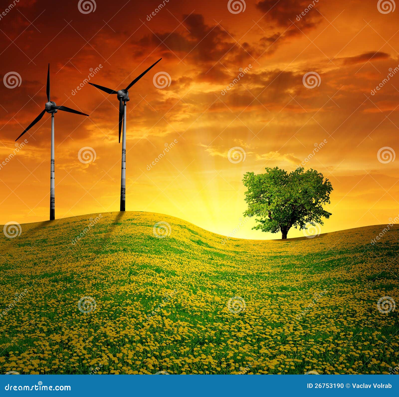 Meadow with wind turbines stock photo. Image of field 26753190