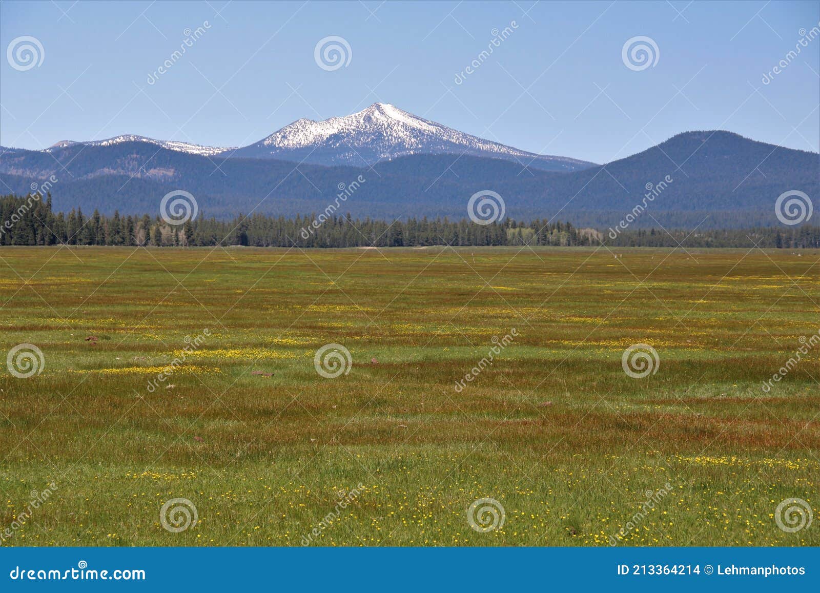 Meadow Wood River Valley And Snow Capped Mountains Stock Photo Image