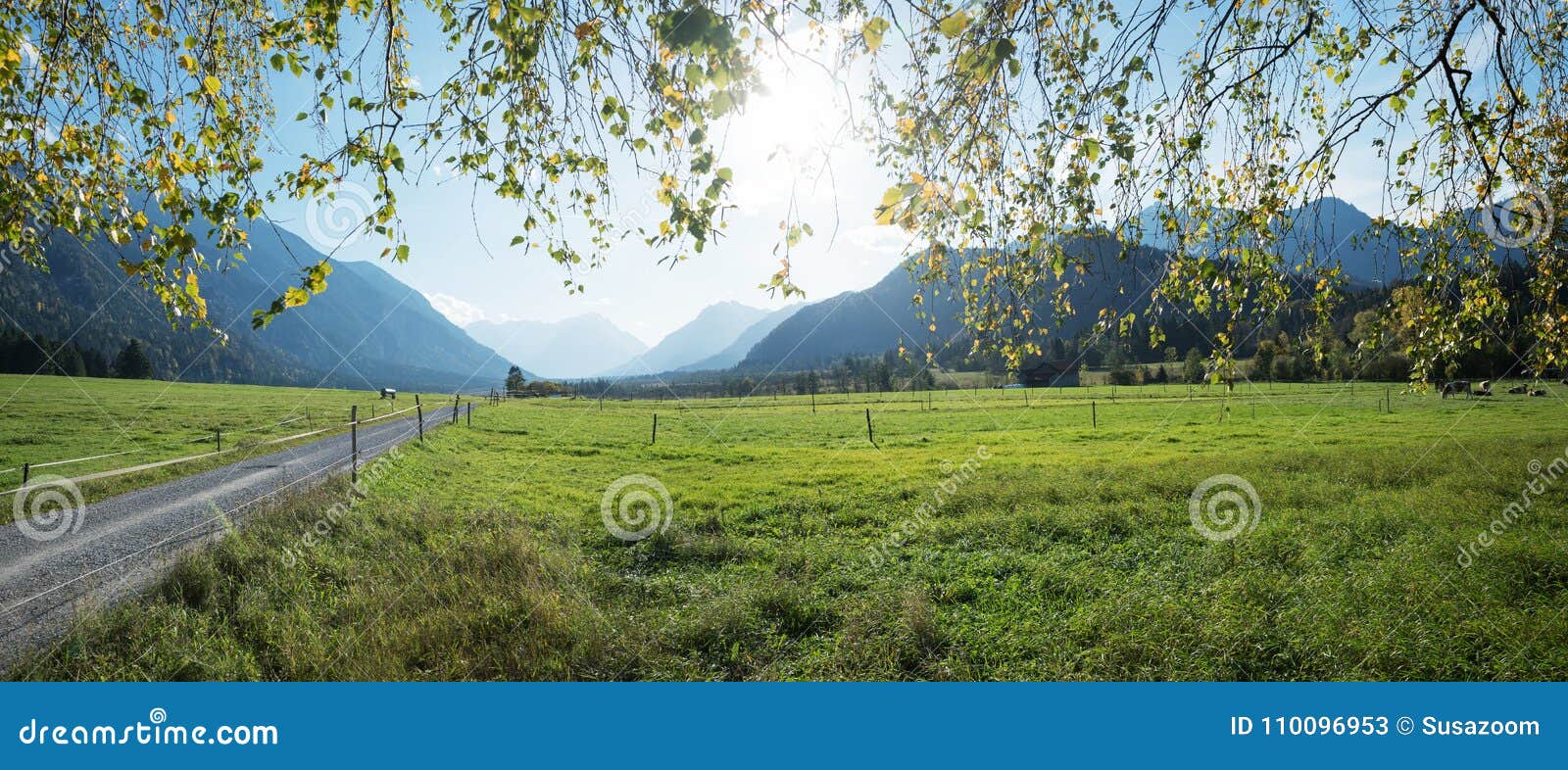 meadowland at loisach valley, beautiful spring landscape bavaria