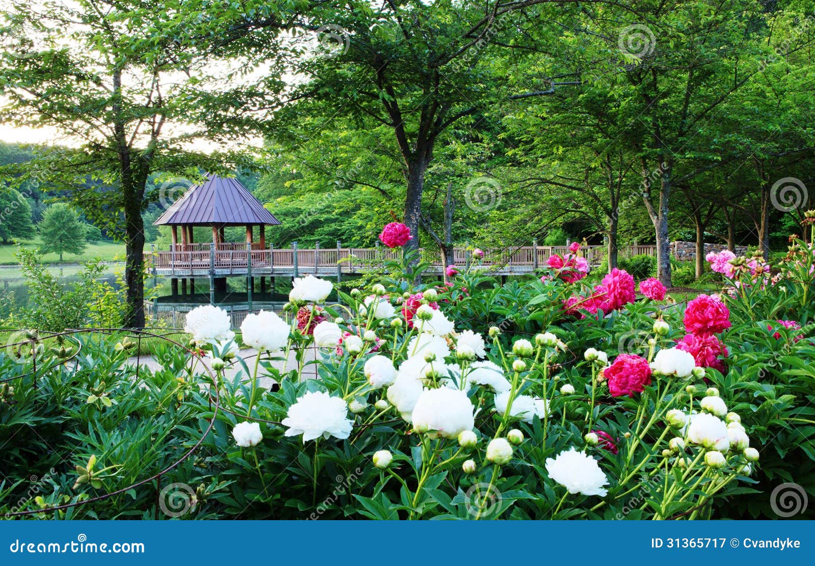 Meadowlark Botanical Gardens Virginia Stock Image Image Of Park