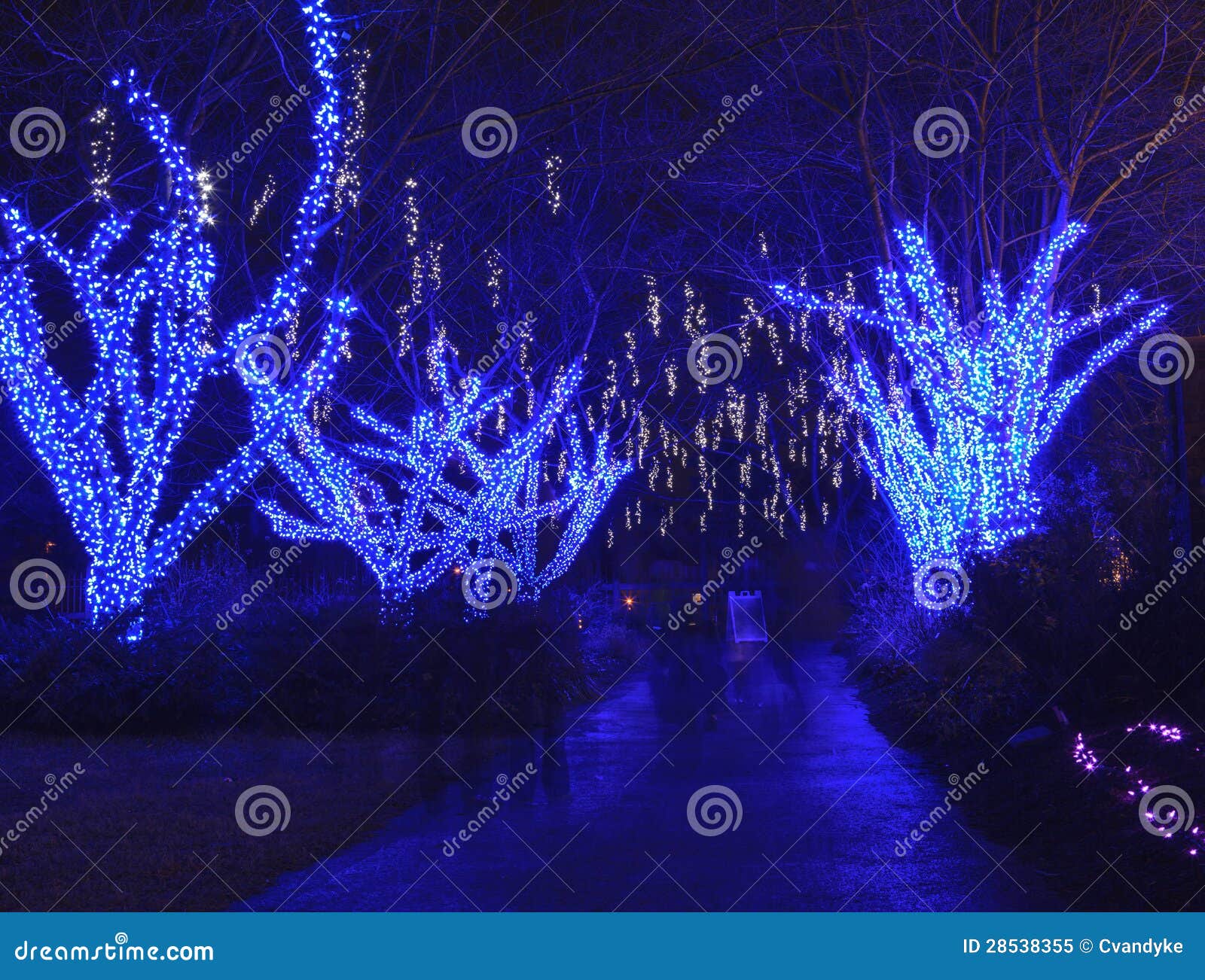 Meadowlark Winter Walk Of Lights Stock Image Image Of Vienna