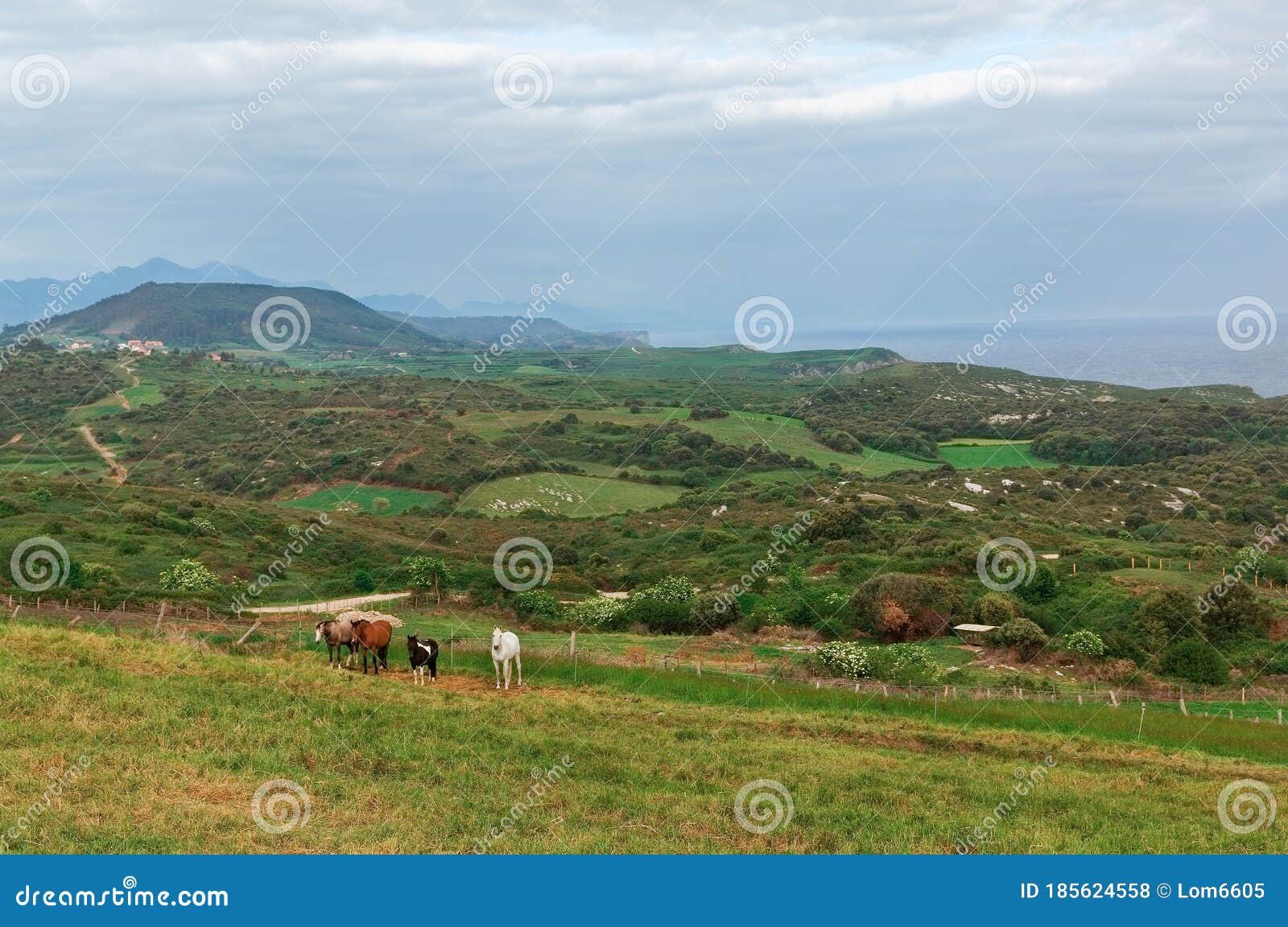 Meadows on the Coast of the Bay of Biscay Stock Photo Image of meadow, james 185624558