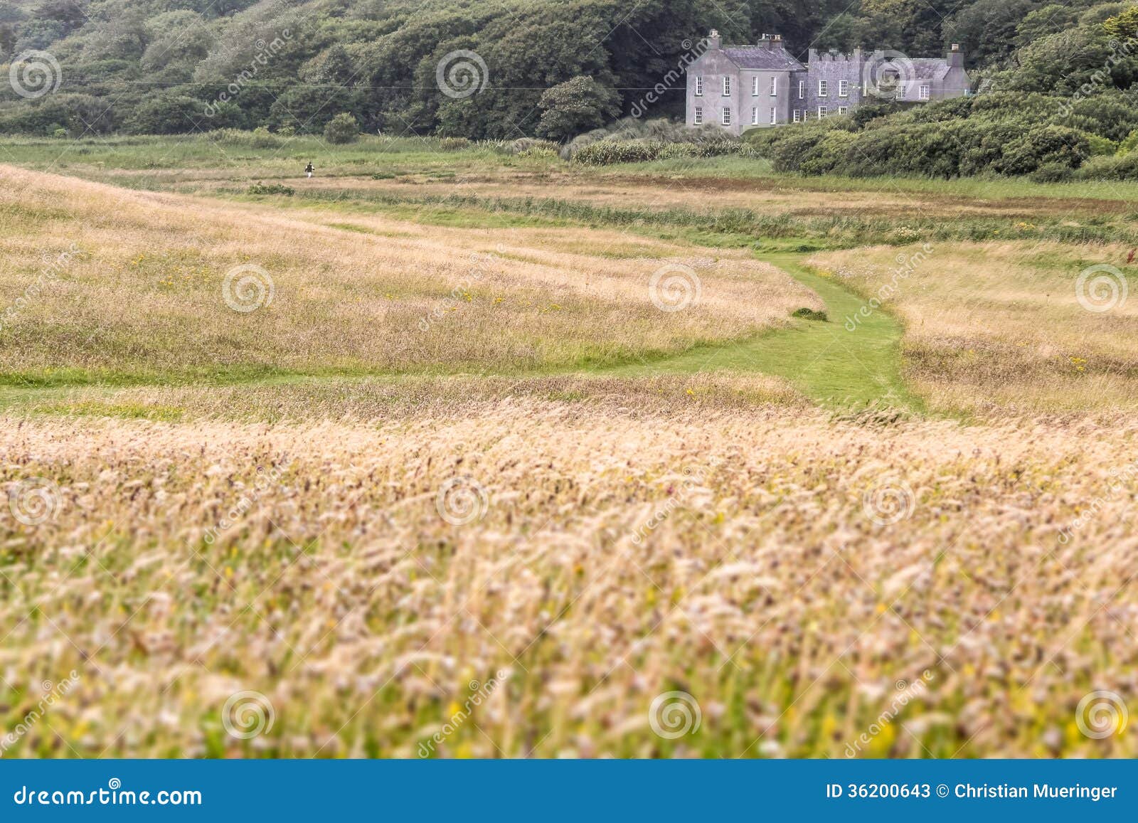 Meadows at Derrynane House stock image. Image of house 36200643