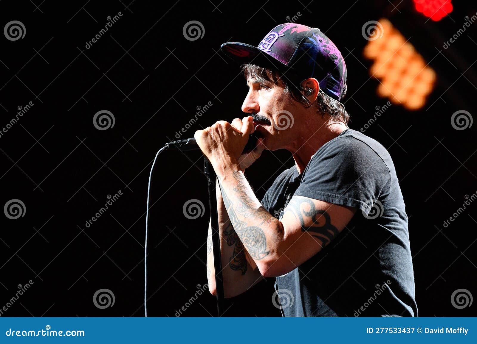 Red Hot Chili Peppers in Concert at the the Meadows Editorial