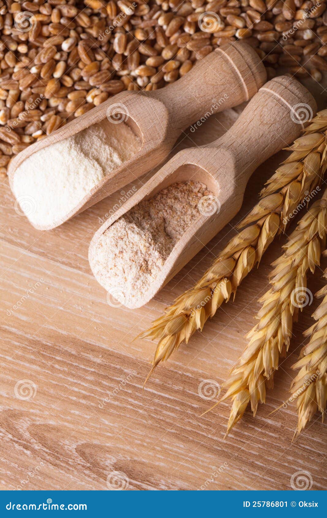 Meal and flour stock image. Image of seed, nature, golden 25786801