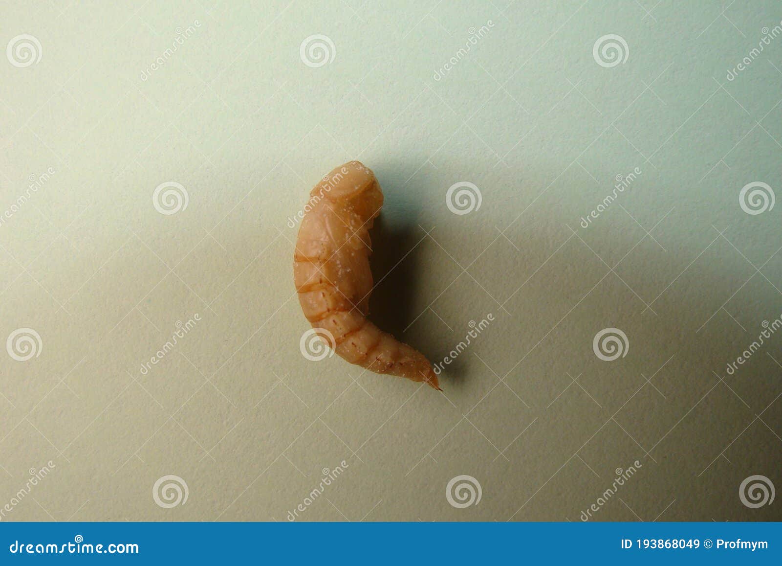 download superworms near me download superworms near me