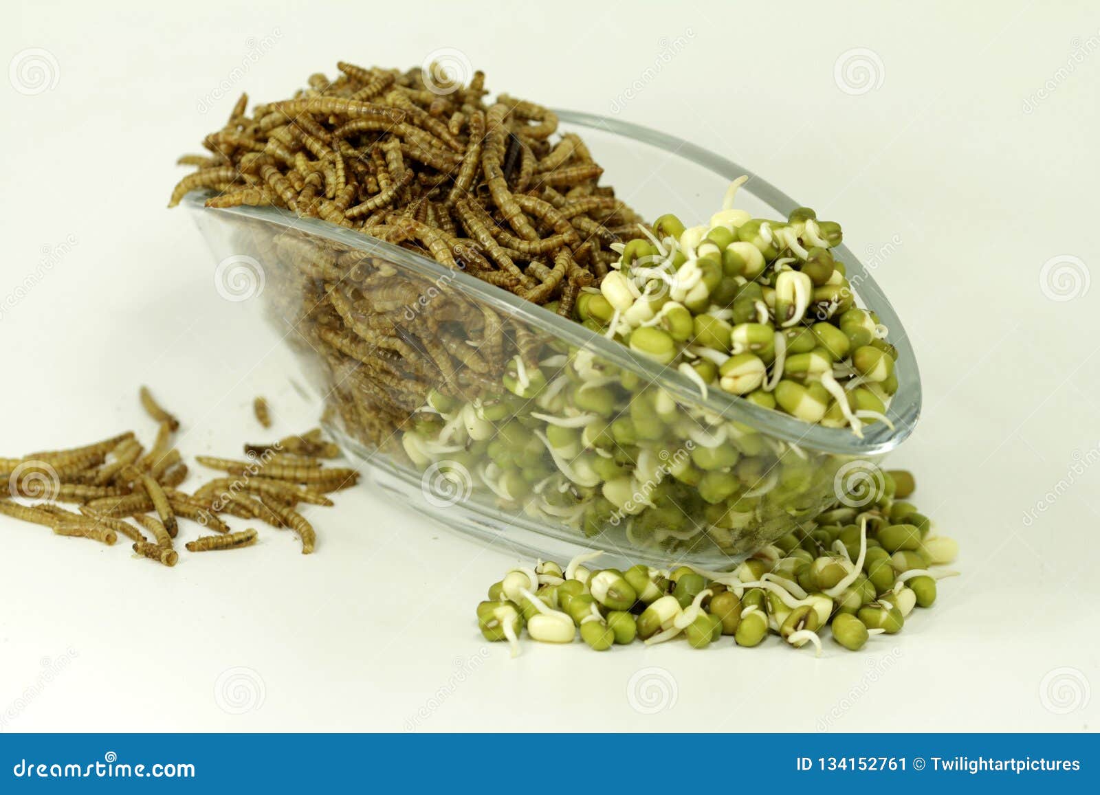 Mealworms and mungo beans stock image. Image of cereal 134152761