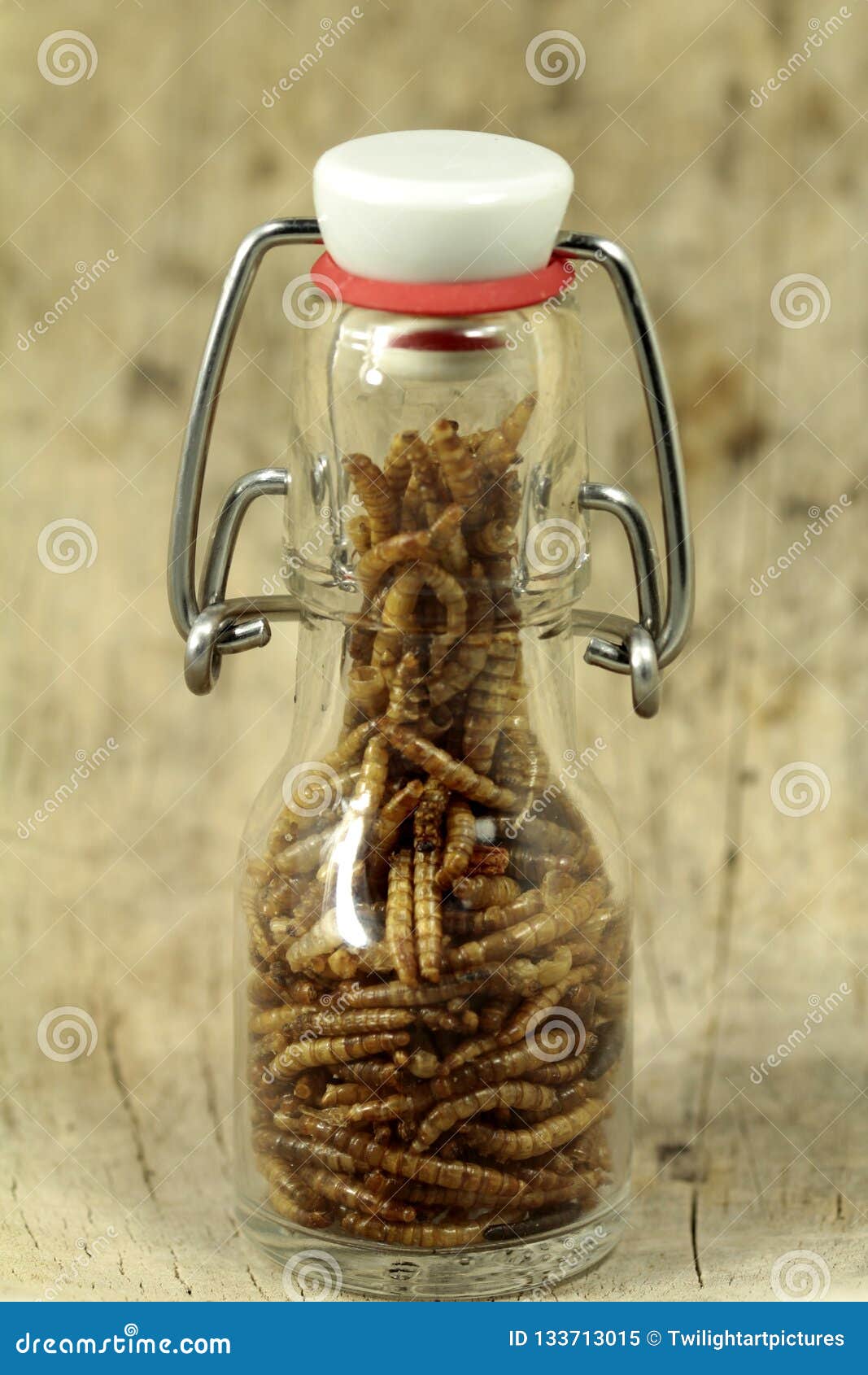 mealworms, pur proteine in the bottle