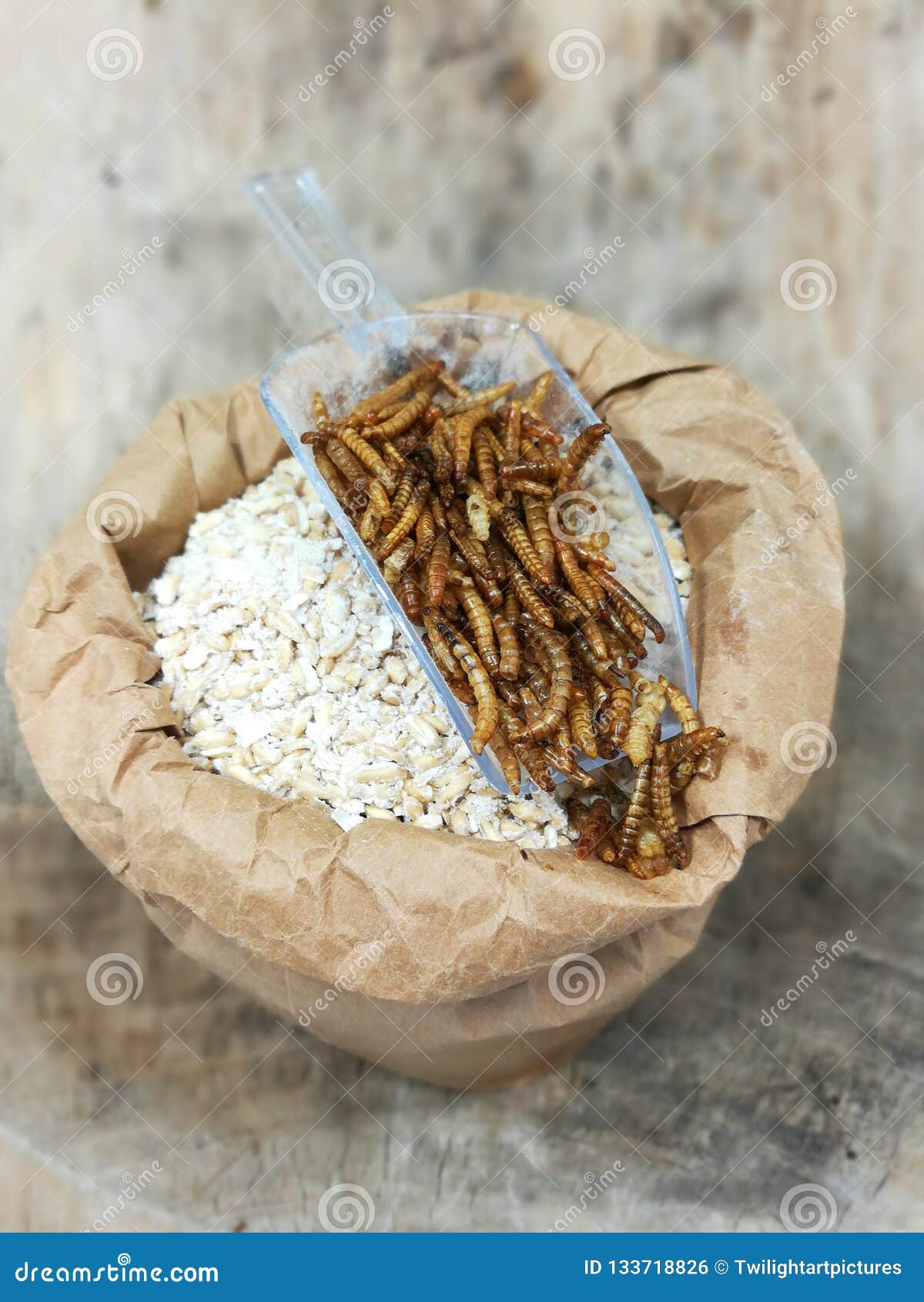 mealworms, pur proteine in grain bag