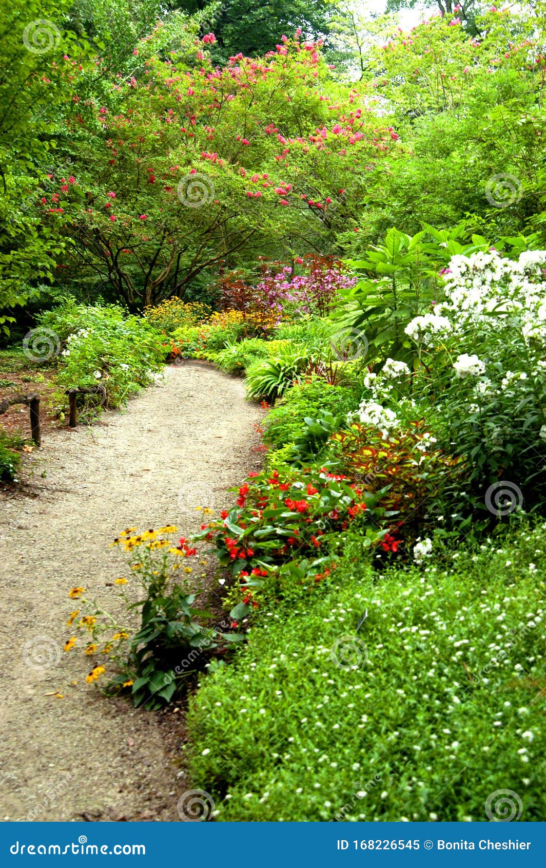 Meandering Garden Path Stock Image Image Of Alabama 168226545