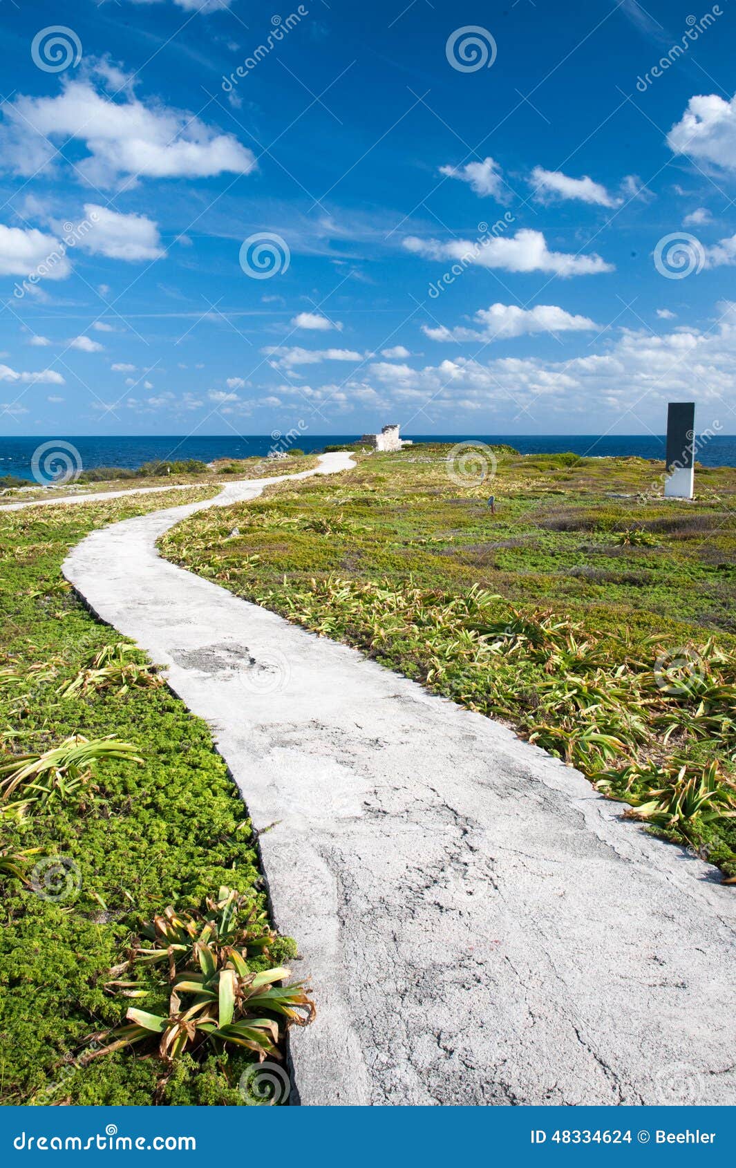 Meandering Path Stock Photo Image Of Isla Mexico Curve 48334624