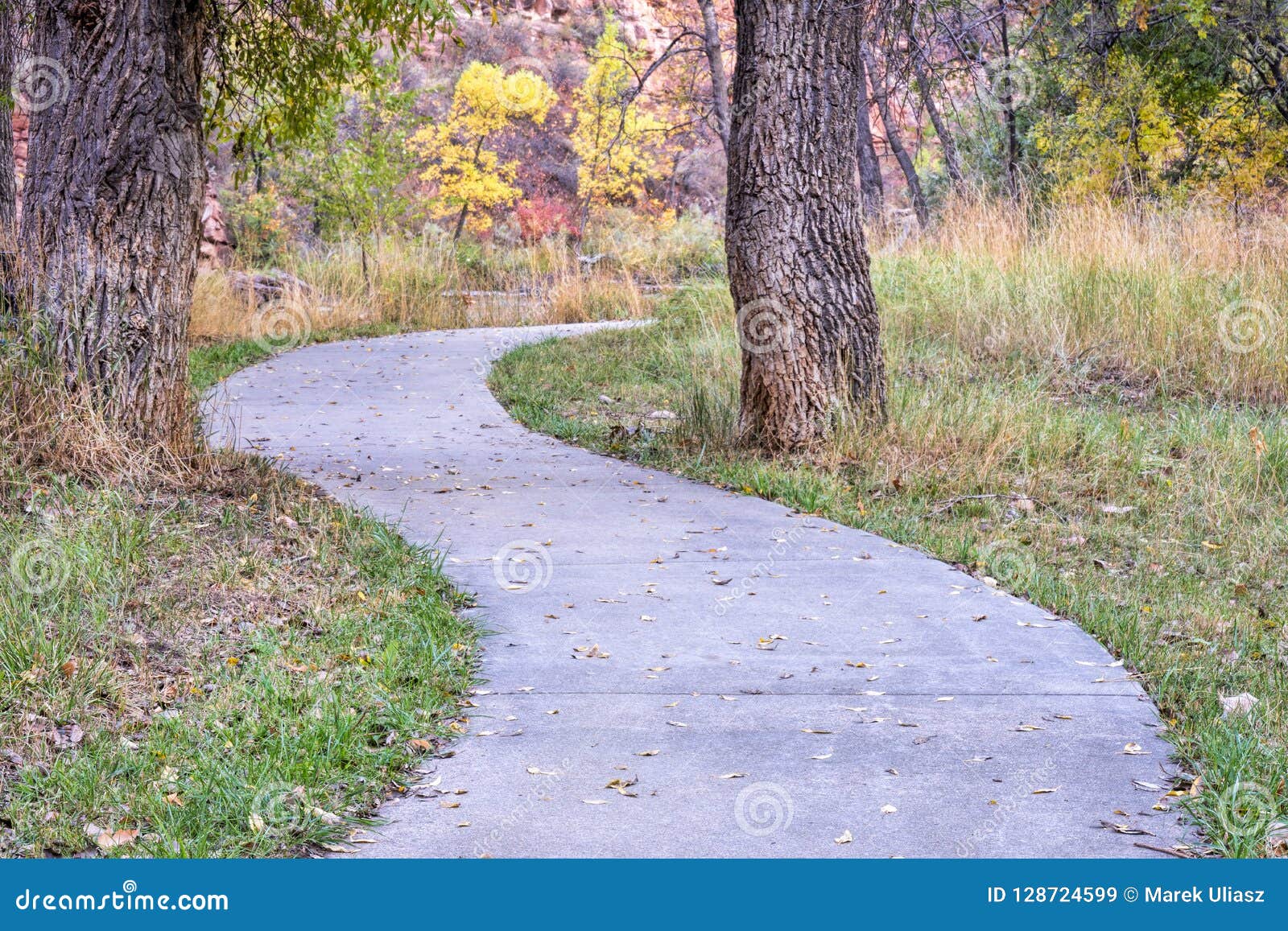 Meandering path in woods stock image. Image of park 128724599