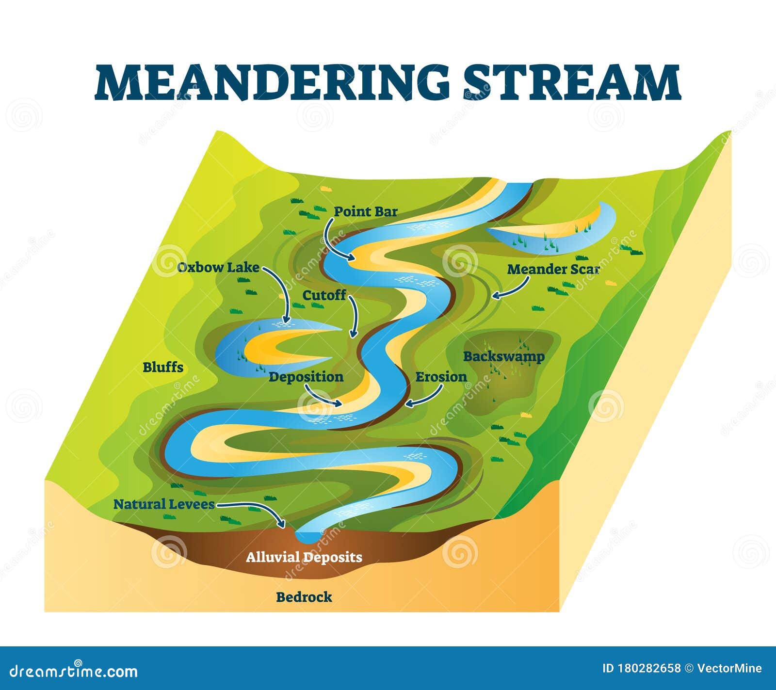 Oxbow Lake Formation Vector Diagram CartoonDealer 71146662 oxbow-lake-formation-vector-diagram-cartoondealer-71146662