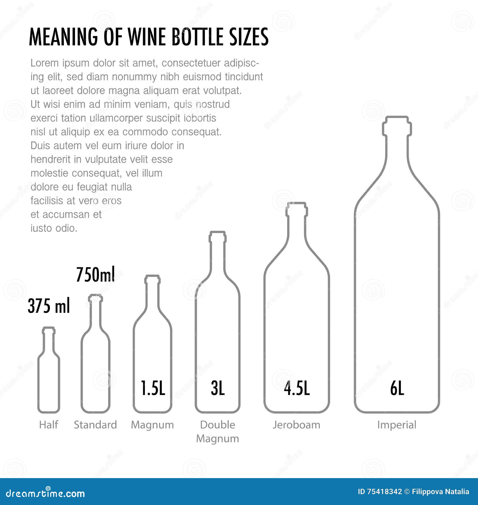 Bottle Size Comparison