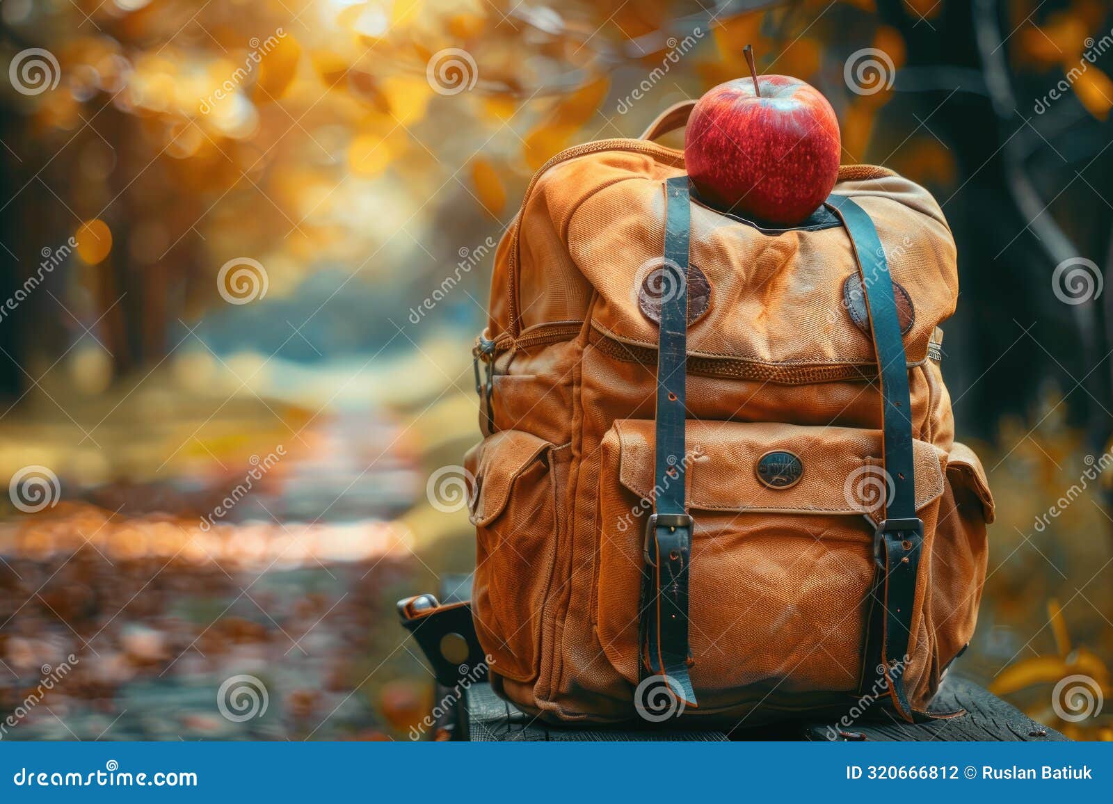 Meaningful Visual an Image with Meaning Back To School, the Transition