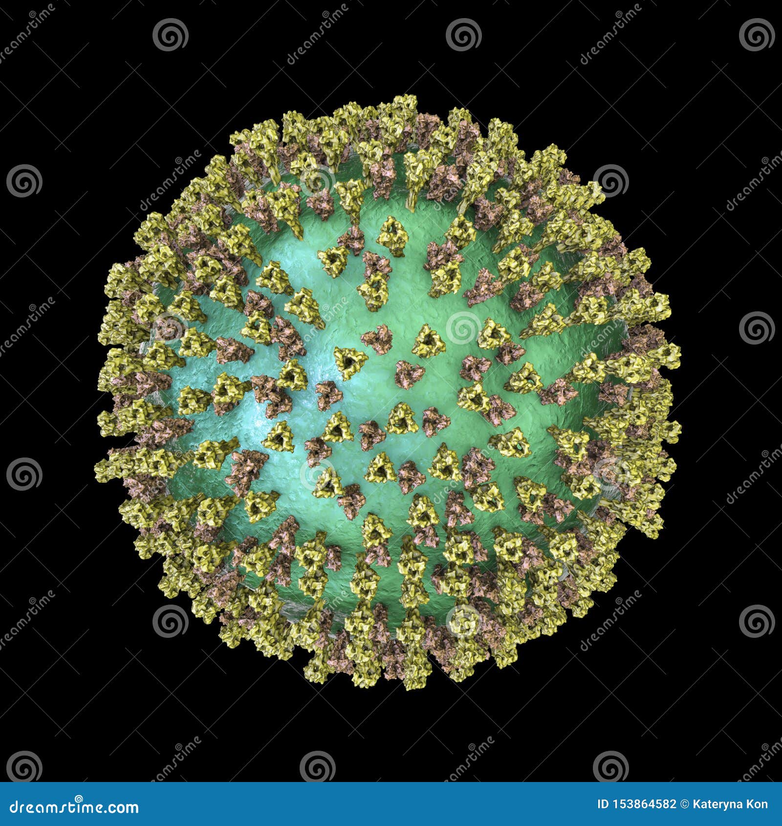 measles virus, surface structure
