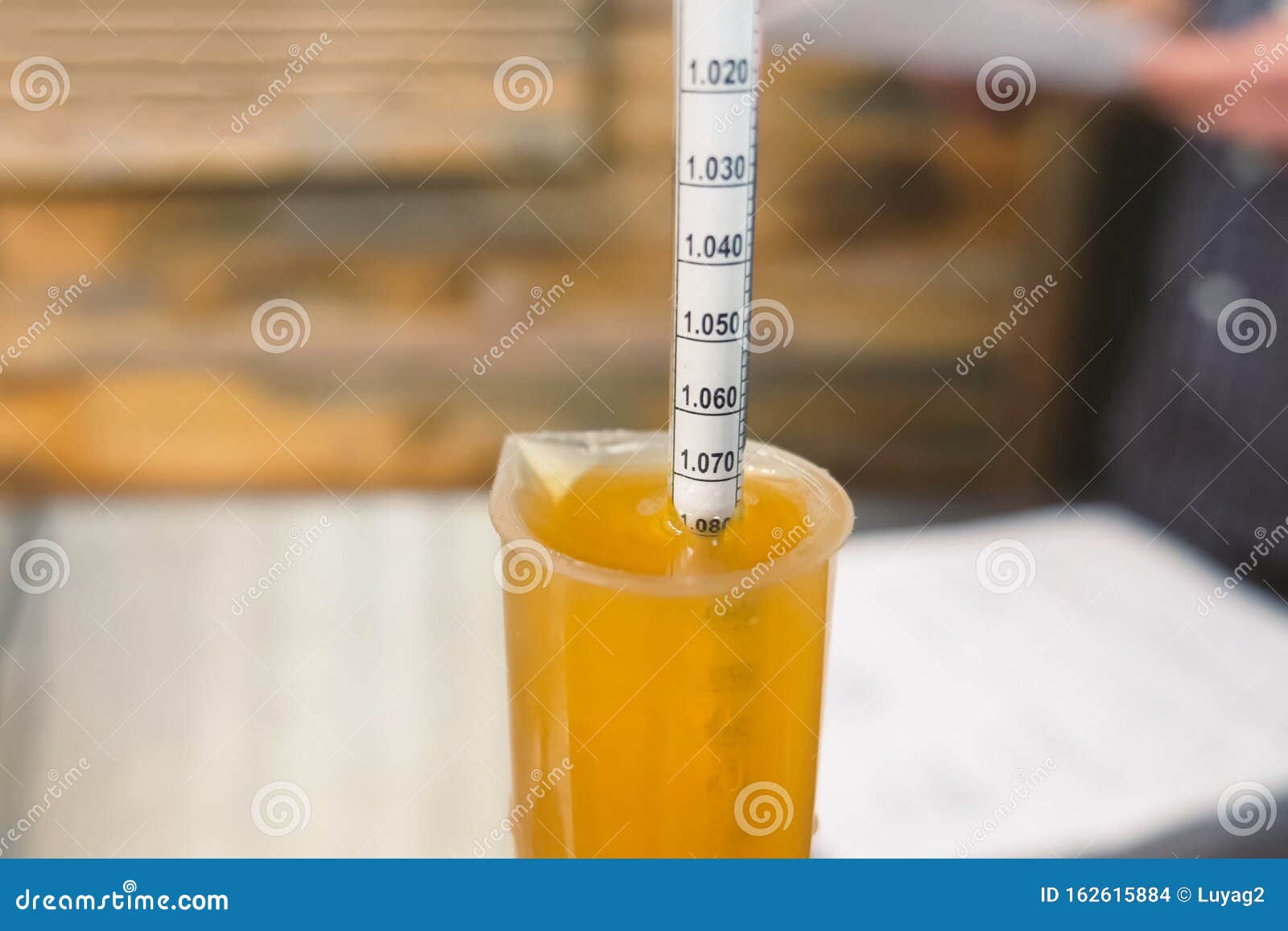Measurement of Alcohol Content in Beer. Hydrometer in Glass of Beer