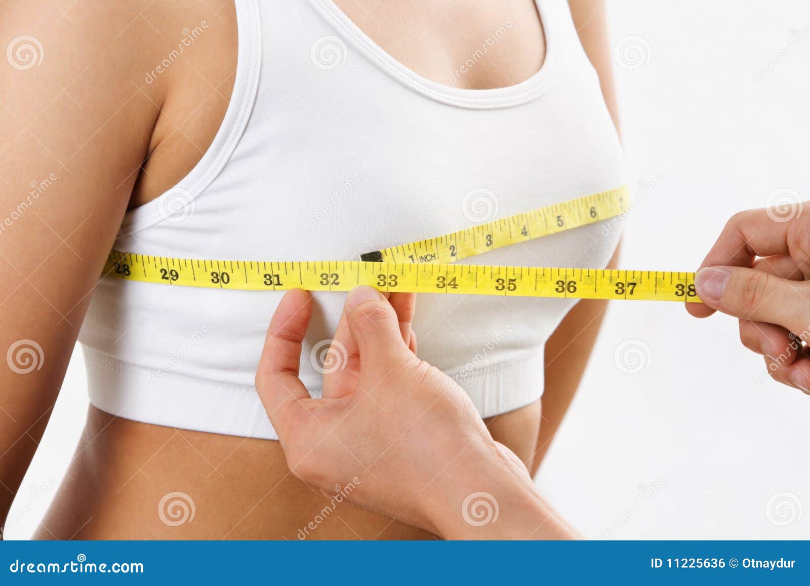 Measuring bra cup size stock photo. Image of adult, holding - 11225636