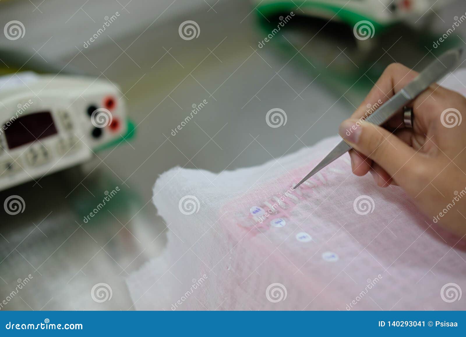 Measuring Rice Grain Seed Length in Lab Stock Image Image of metal