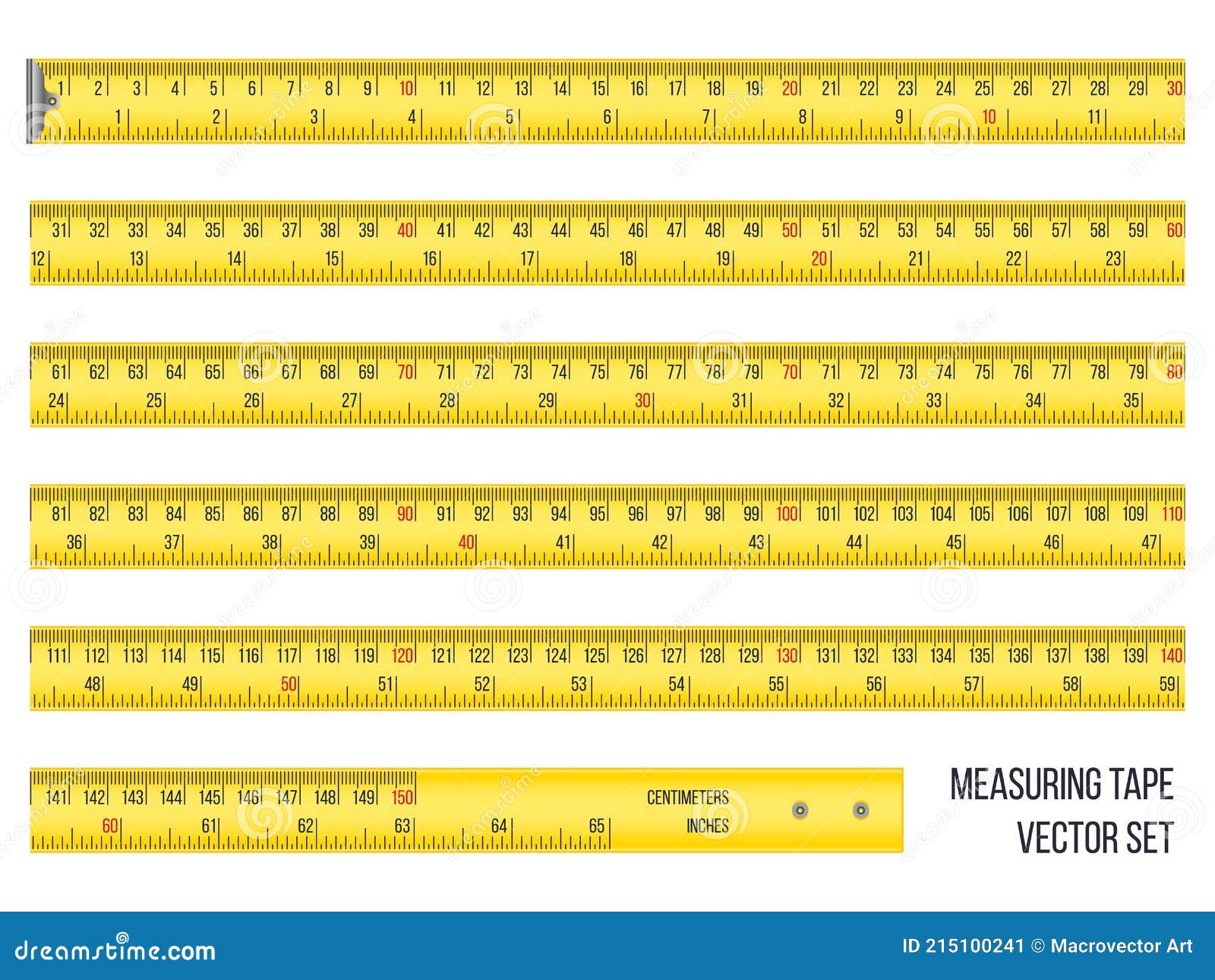 Measuring tape in centimeters and inches set Vector Image