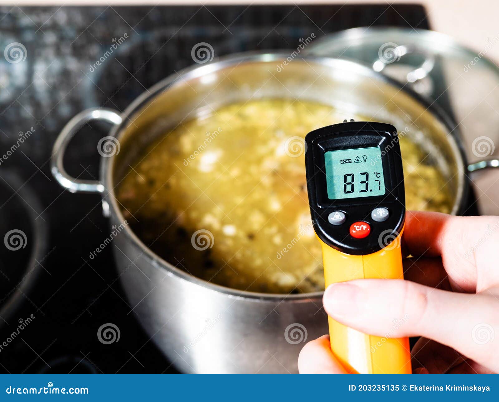 Fish Bath Thermometer - Noodle Soup