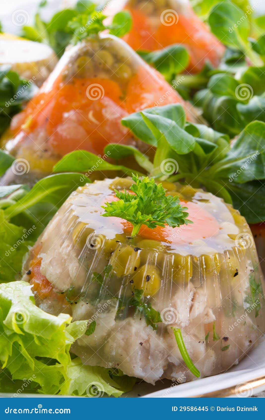 Meat aspic stock image. Image of cheese, green, dish 29586445