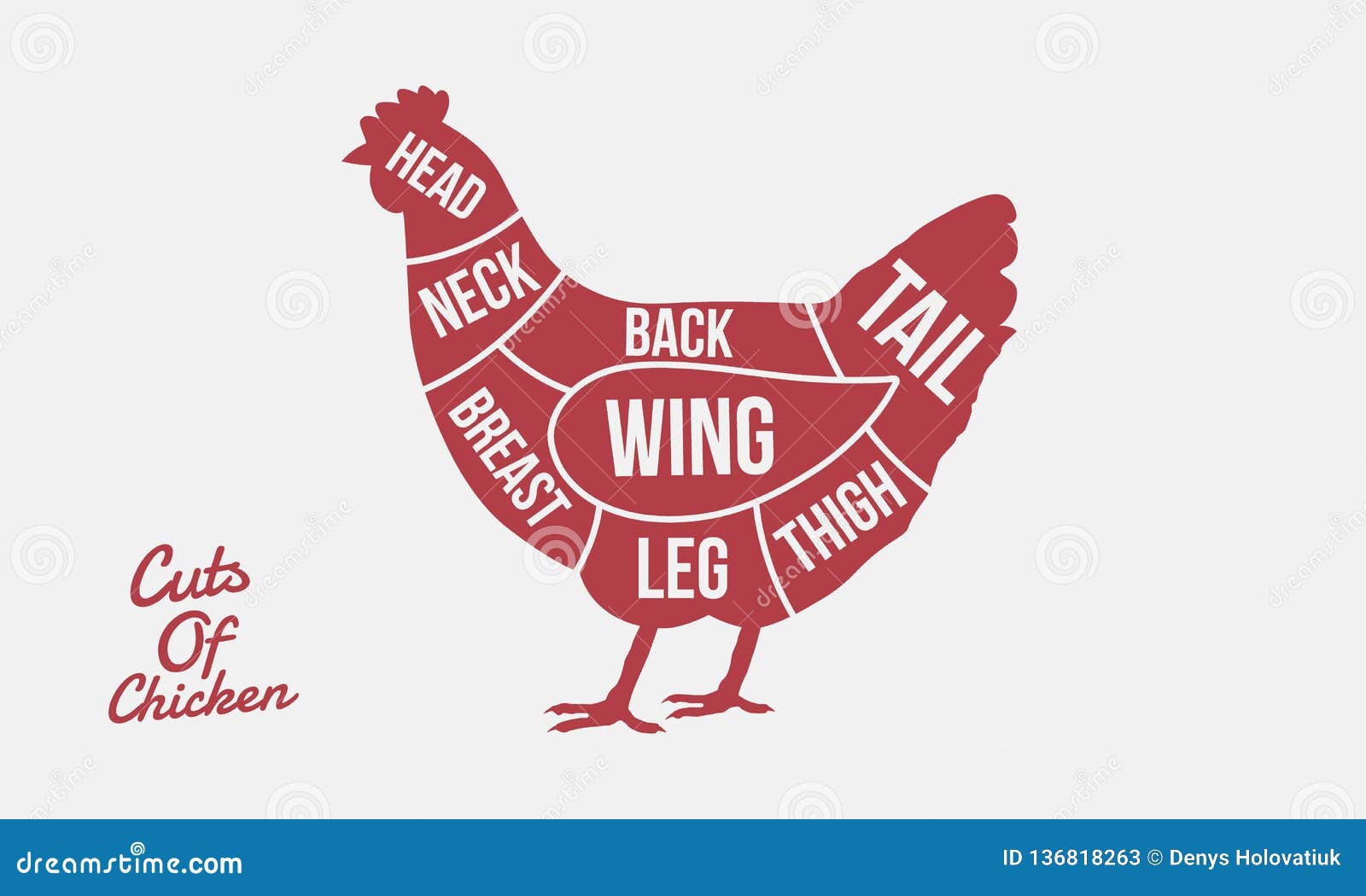 cuts of chicken. meat cuts. chicken silhouette  on white background. vintage poster for meat, butcher shop.