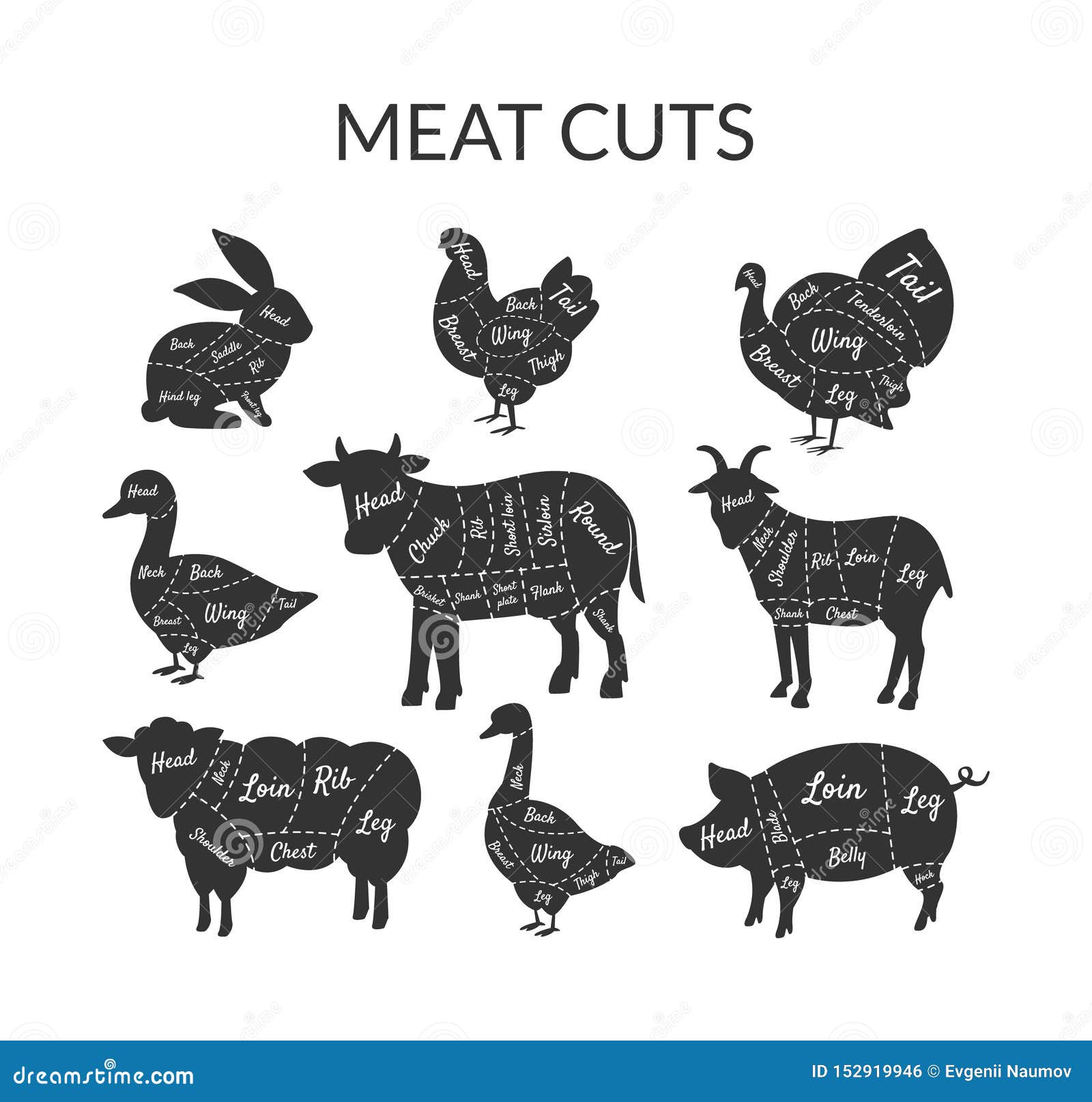 Meat Cuts Set, Farm Animals and Poultry with Meat Cuts Lines, Vintage Black  and White Vector Illustration Stock Vector - Illustration of chicken, menu:  152919946