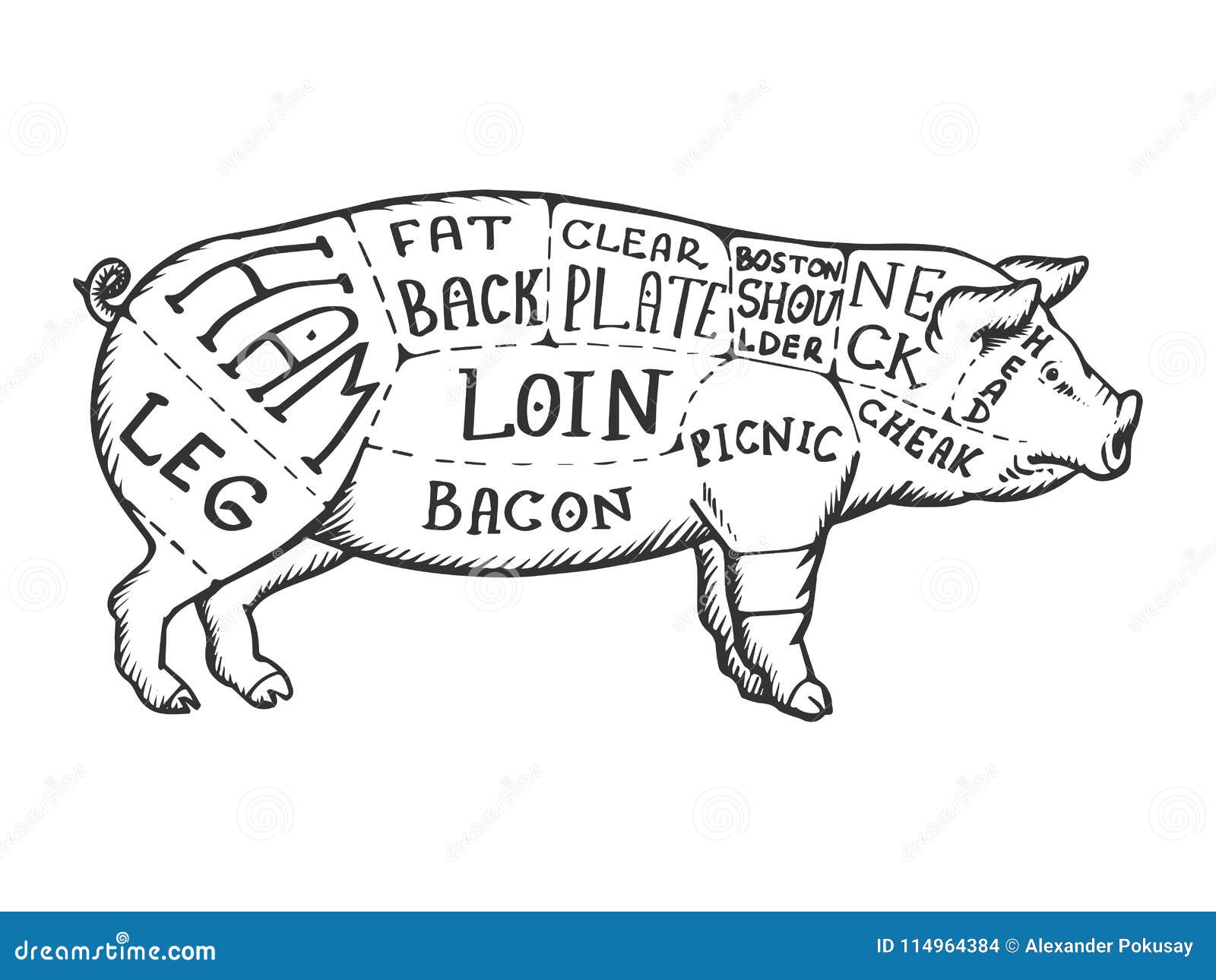 Vintage Pig Butcher Chart