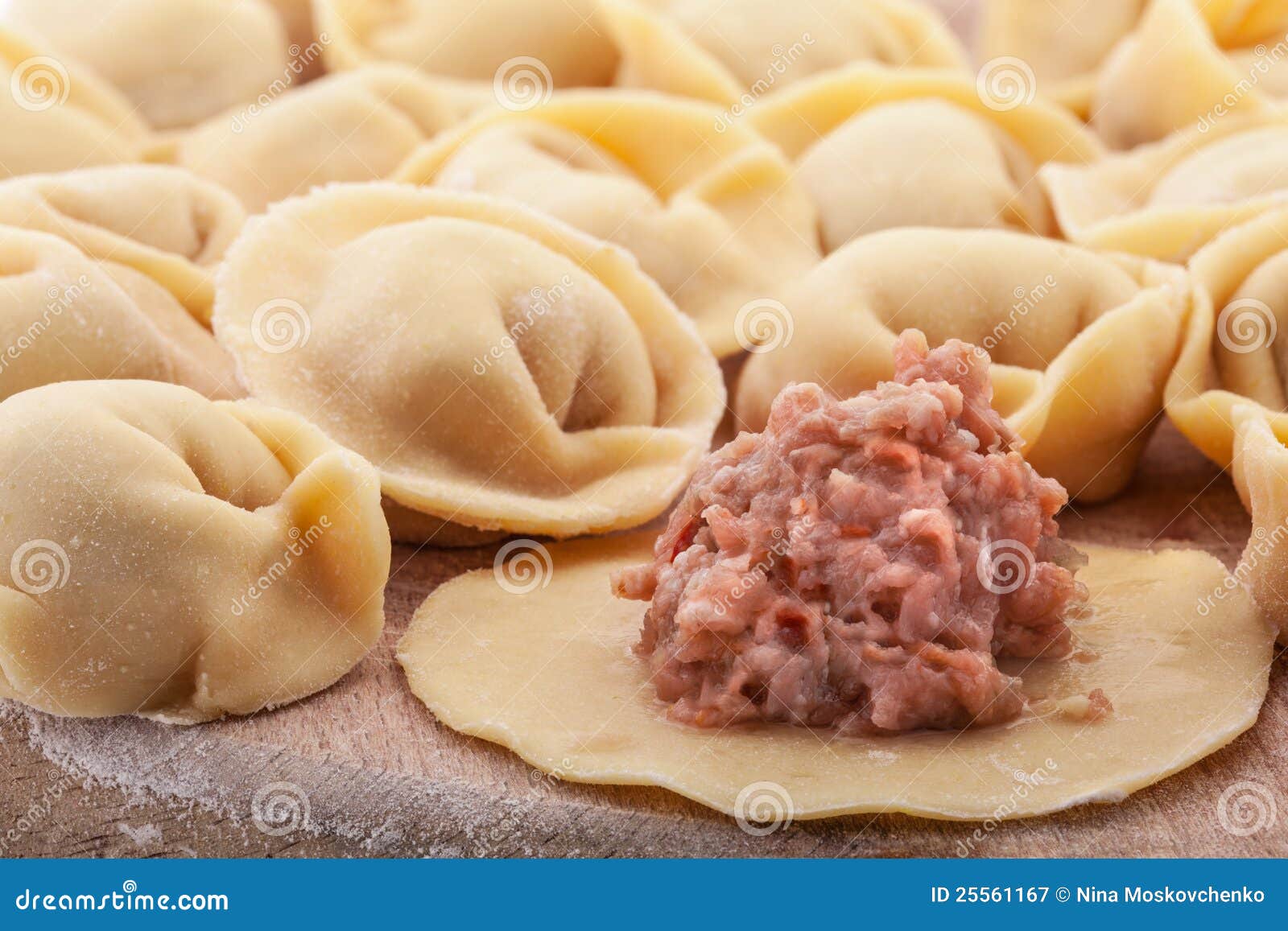 Meat Dumplings Royalty Free Stock Photography Image 25561167