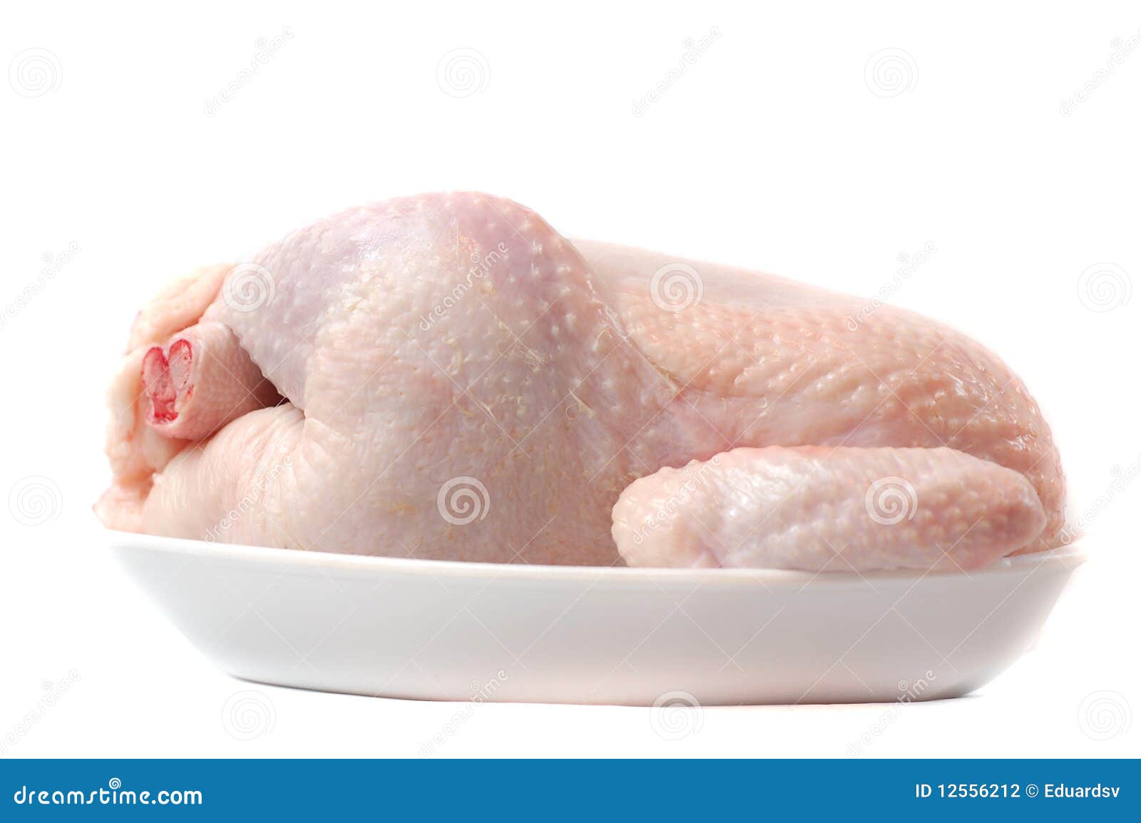 Meat of a hen. stock photo. Image of rooster, chiken 12556212