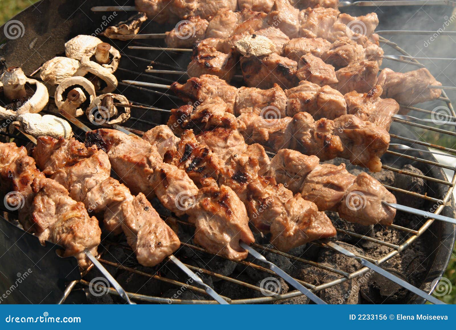 Meat Kebabs Shashlyk on a Bbq Stock Photo - Image of party, cook: 2233156