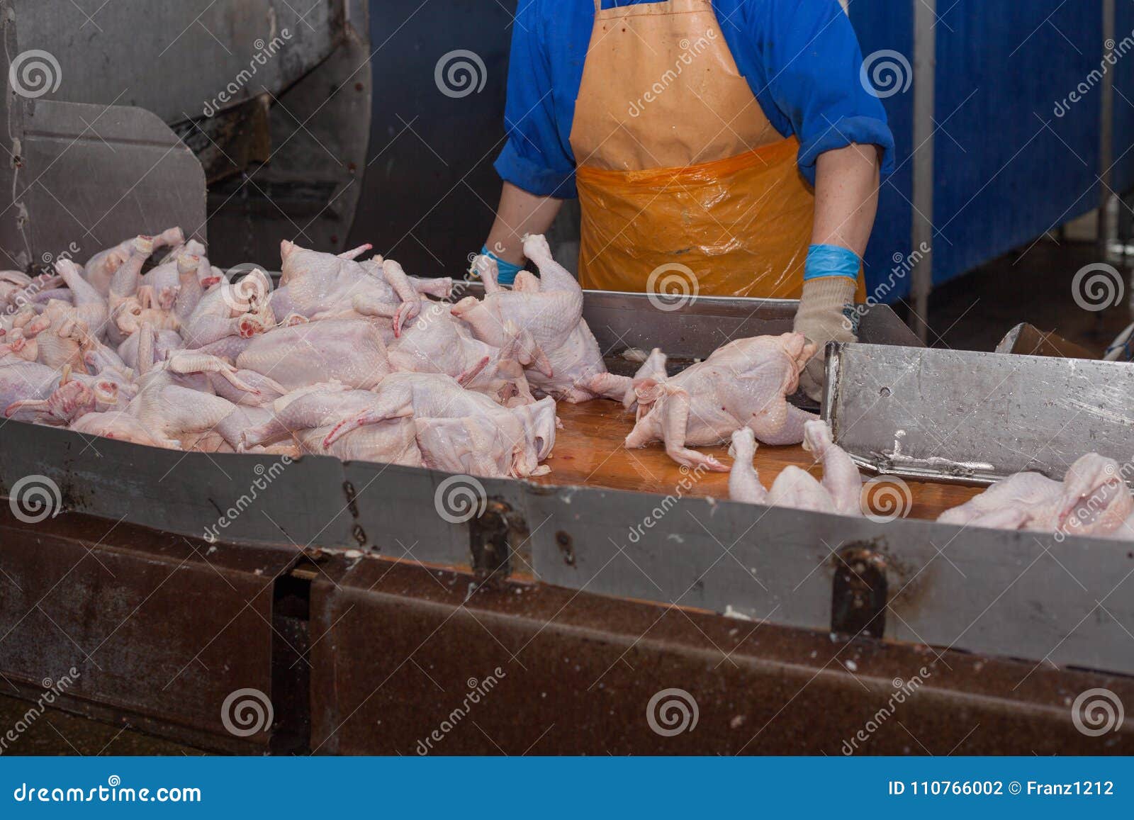 Meat Processing of Chicken Products. Technological Process Stock Photo