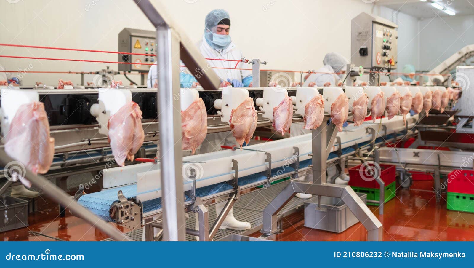 Meat Processing Factory.chicken on a Conveyor Belt.Processing Plant Assembly Line.People Working at a Chicken Photo - Image of business, meat: 210806232
